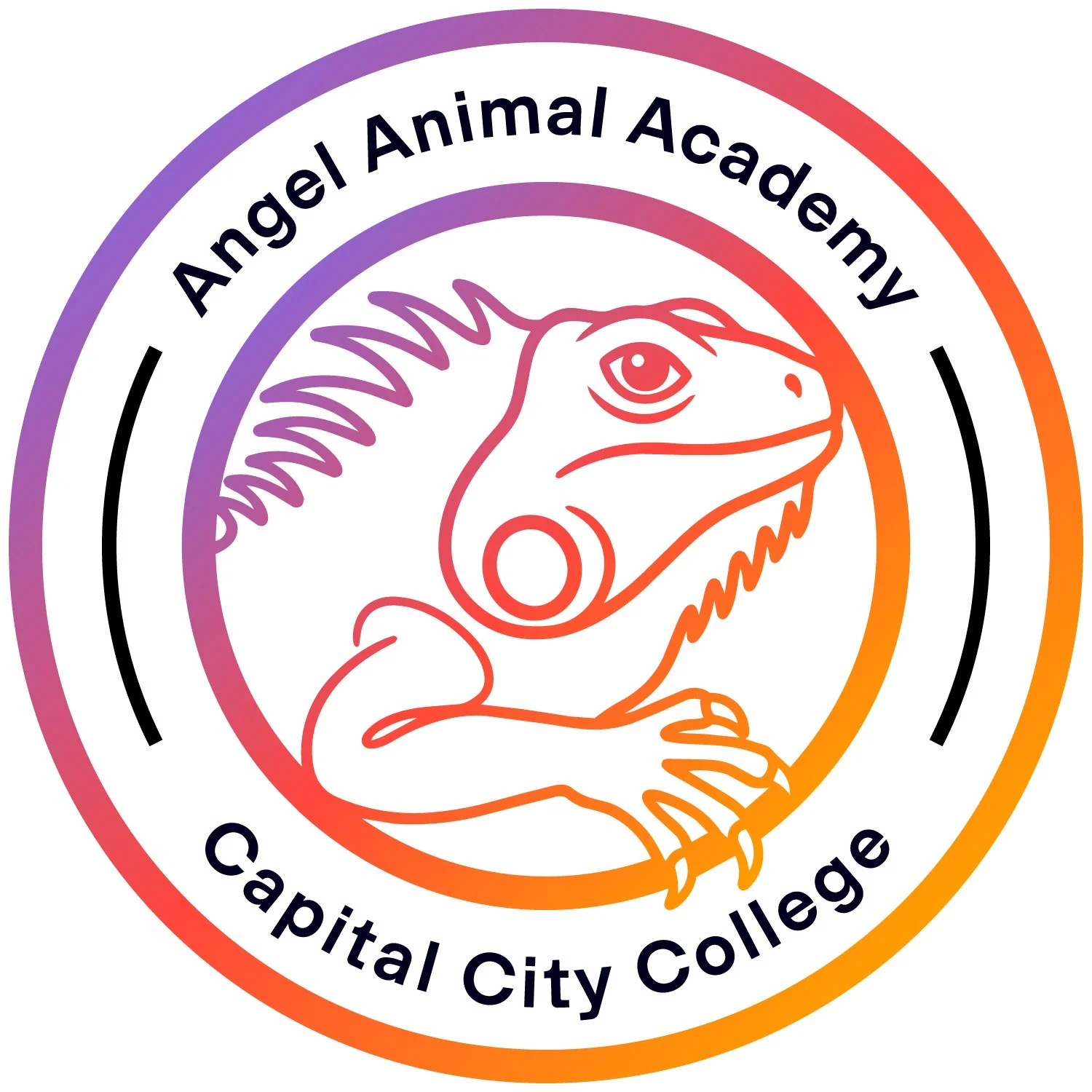 Angel Animal Academy LOGO Working File.jpg