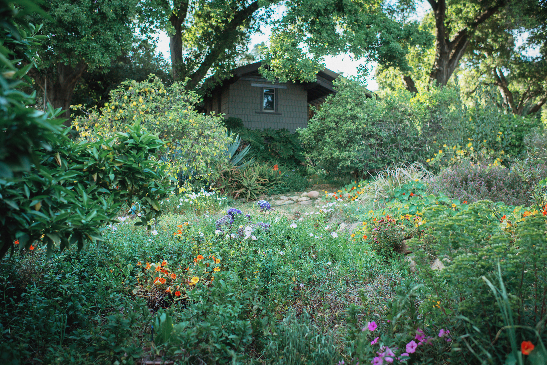 CasaBarrancaSpring-21.jpg