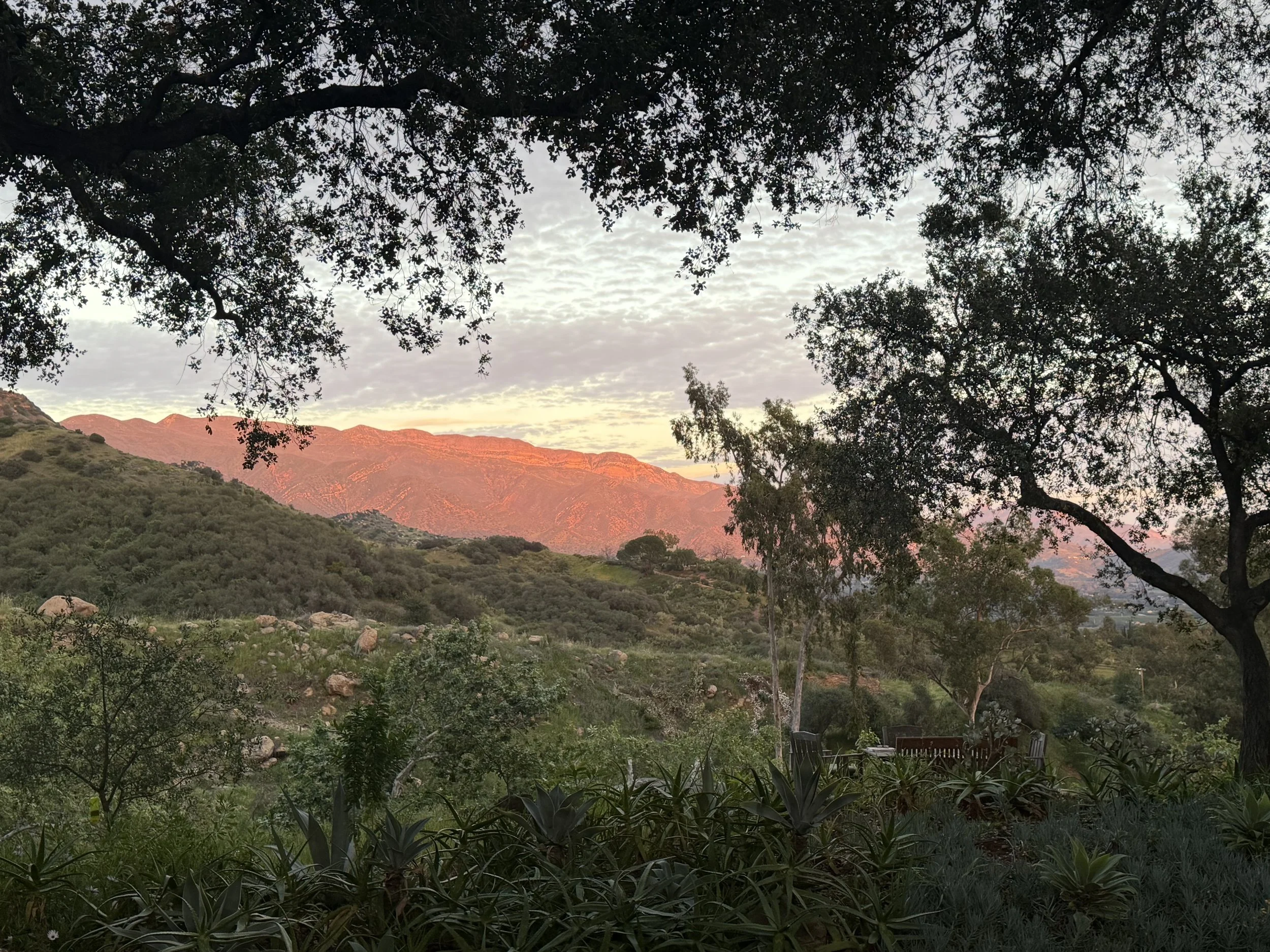 IMG_6031.jpeg