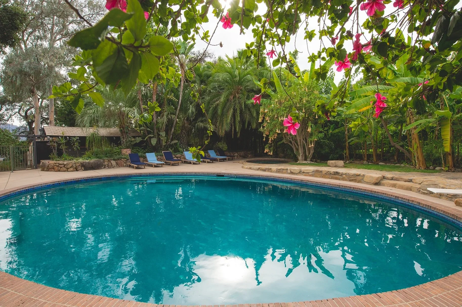 pool-142.jpeg