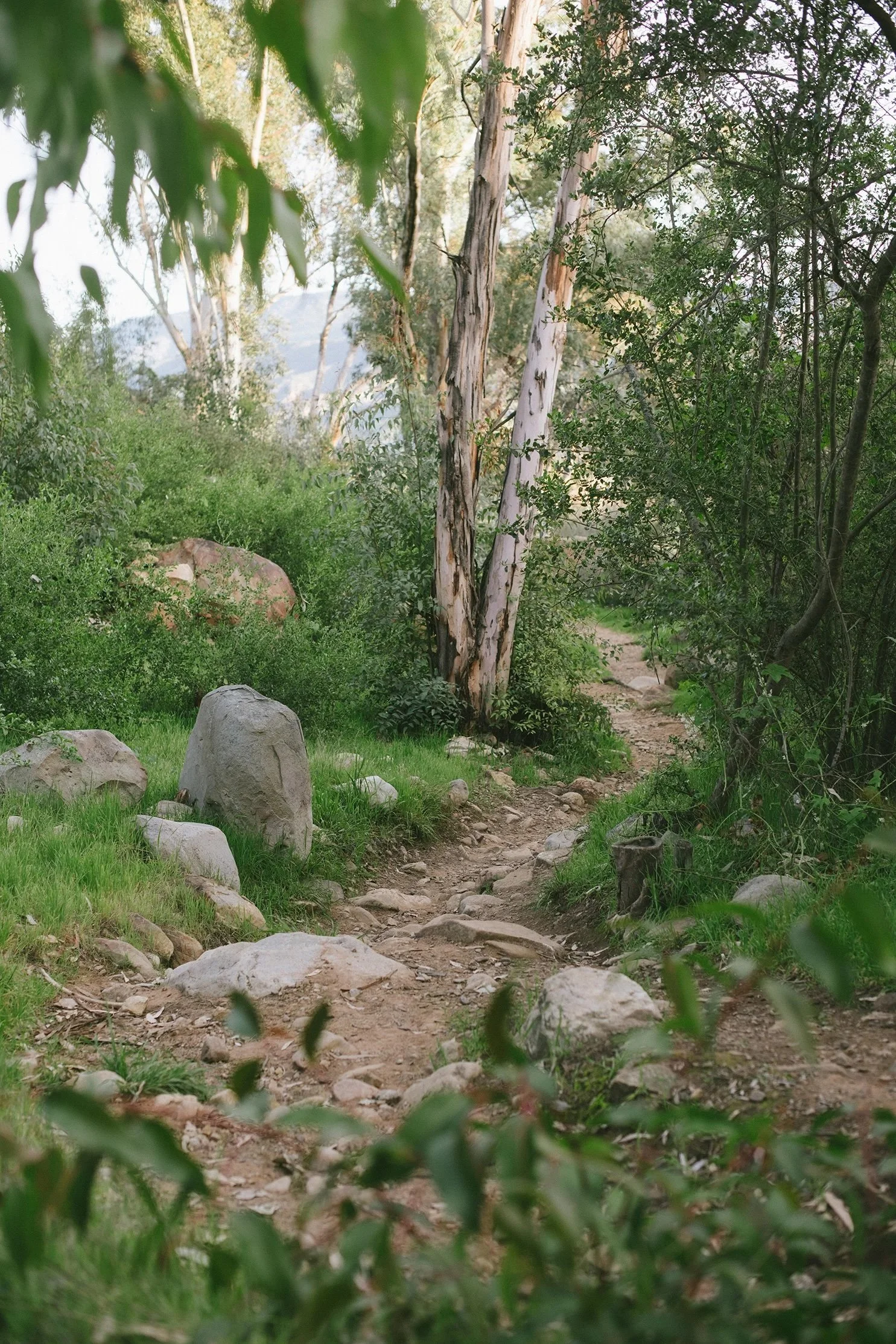 TrailsCasaBarranca-18.jpeg