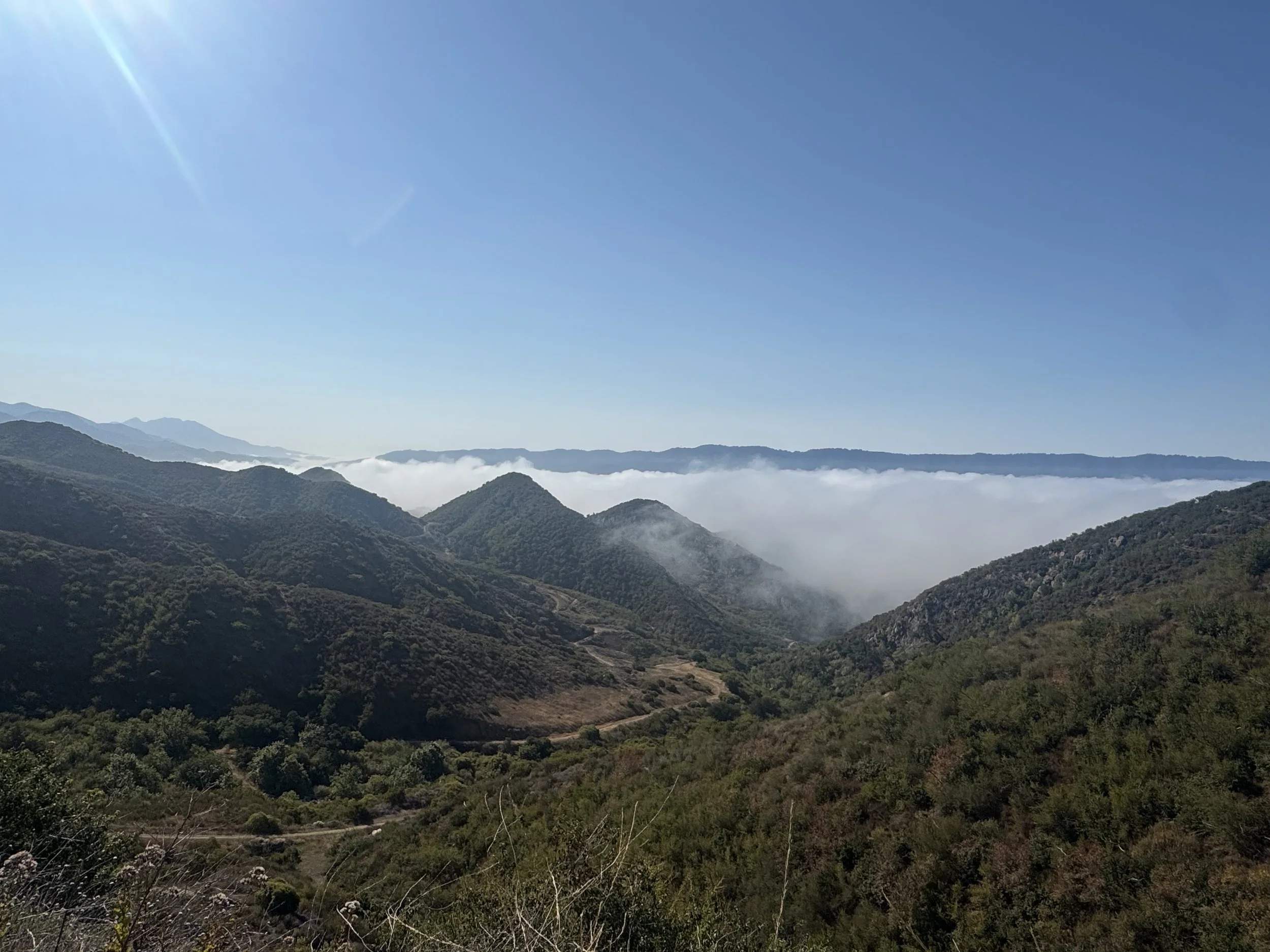 IMG_4027.jpeg