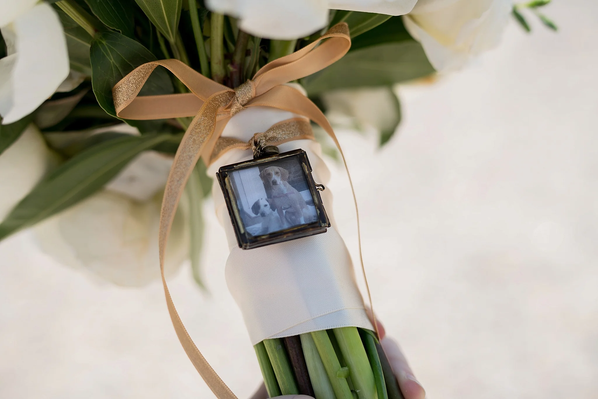 Pavilion-Carriage-Farms-Wedding-Photographer-209.jpg