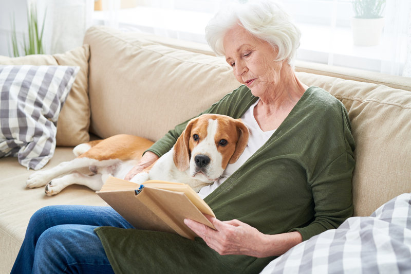 iStock-950847200_WEB.jpg
