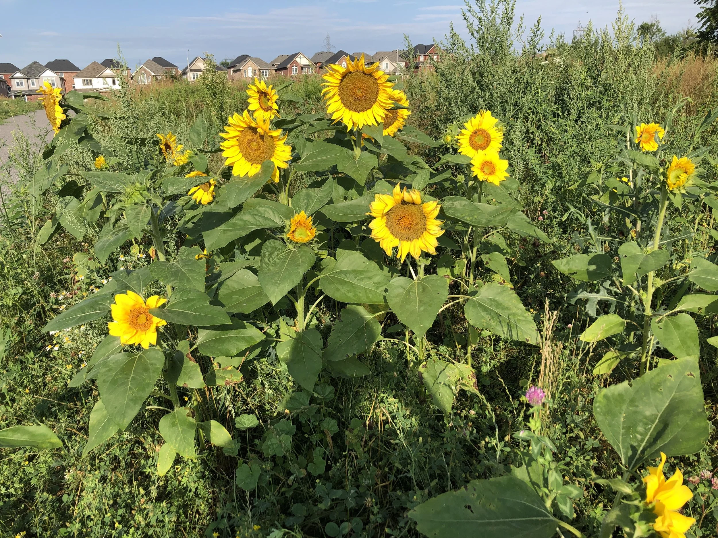 Spring, a time for positive change.