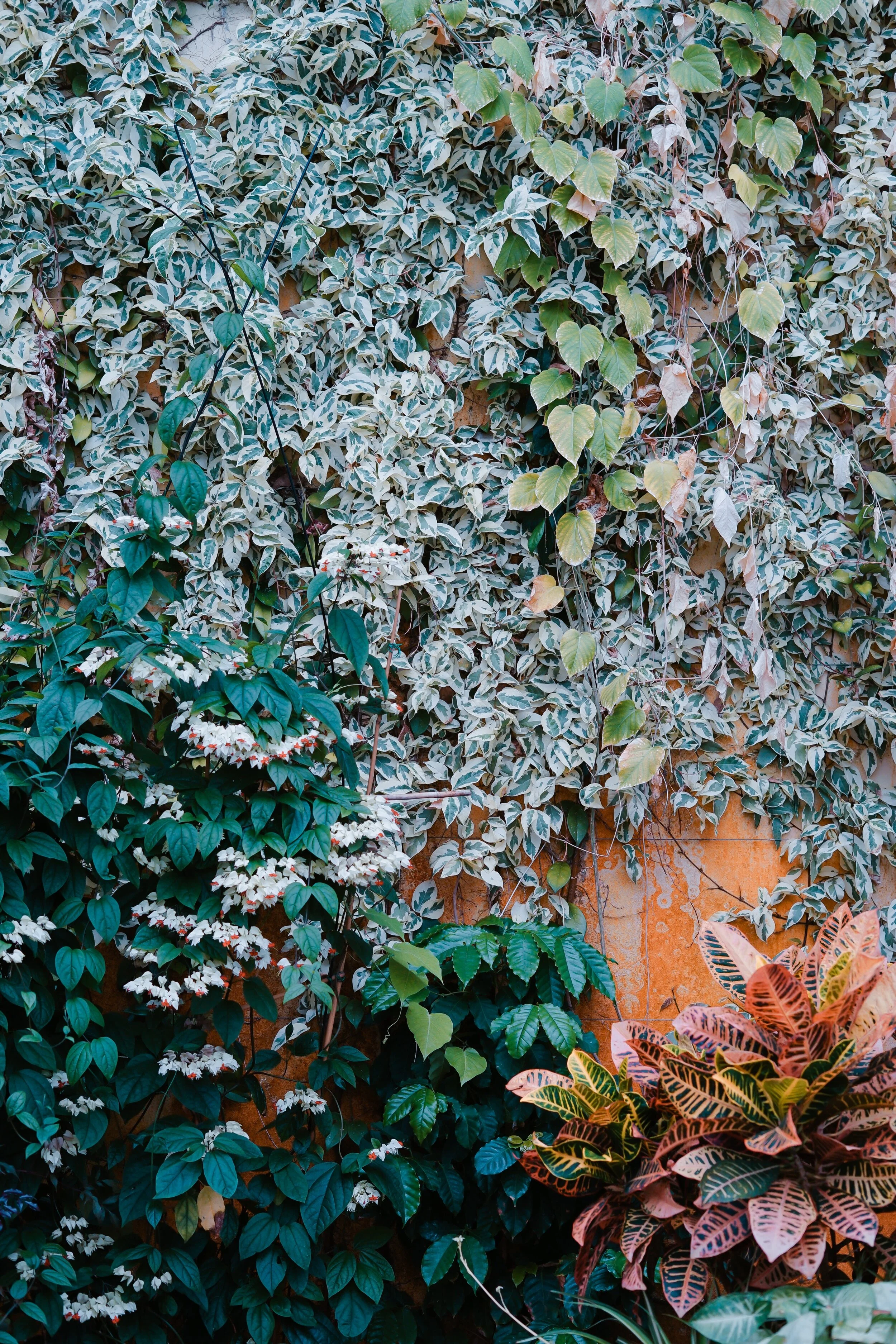 toa-heftiba-714681-unsplash.jpg