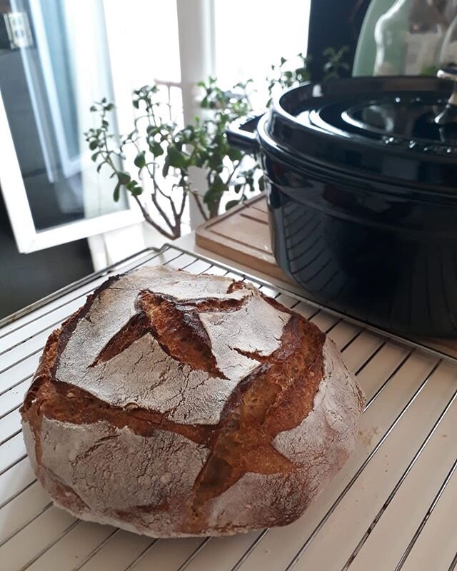 Vis ma vie d&rsquo;influenceuse du dimanche, sour edition : #sourdough du matin, #sourbeer de l&rsquo;apr&egrave;s-midi.