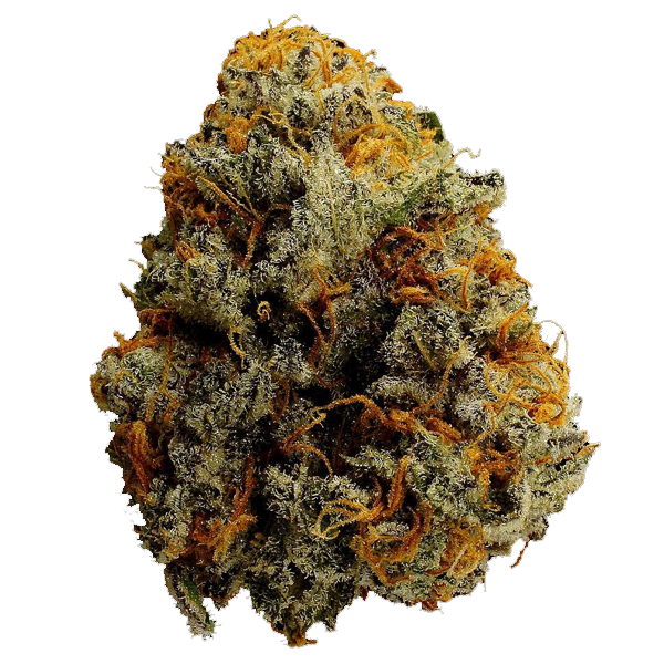 Strains Monarch Grow