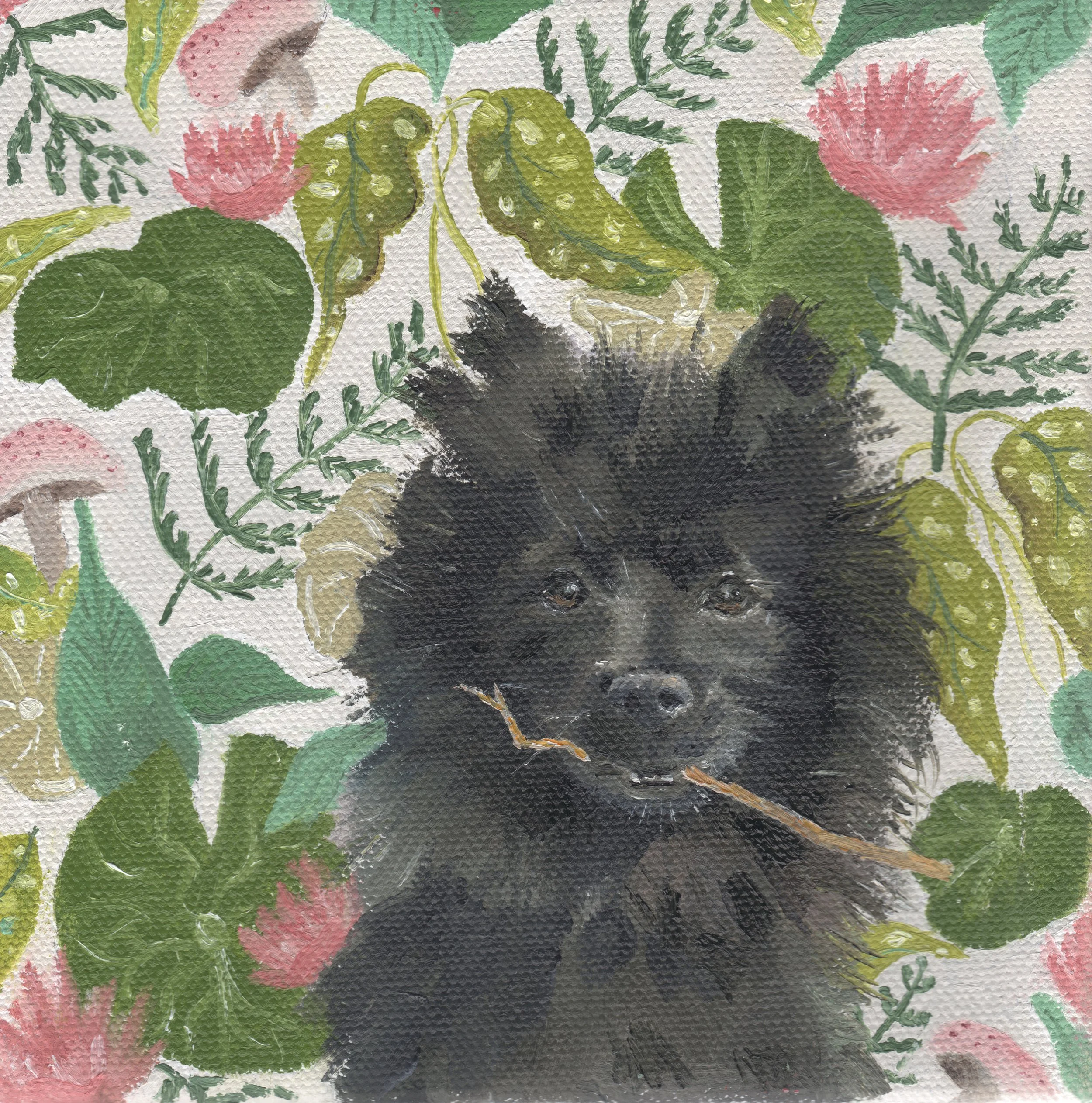 Randall high res 1.jpeg