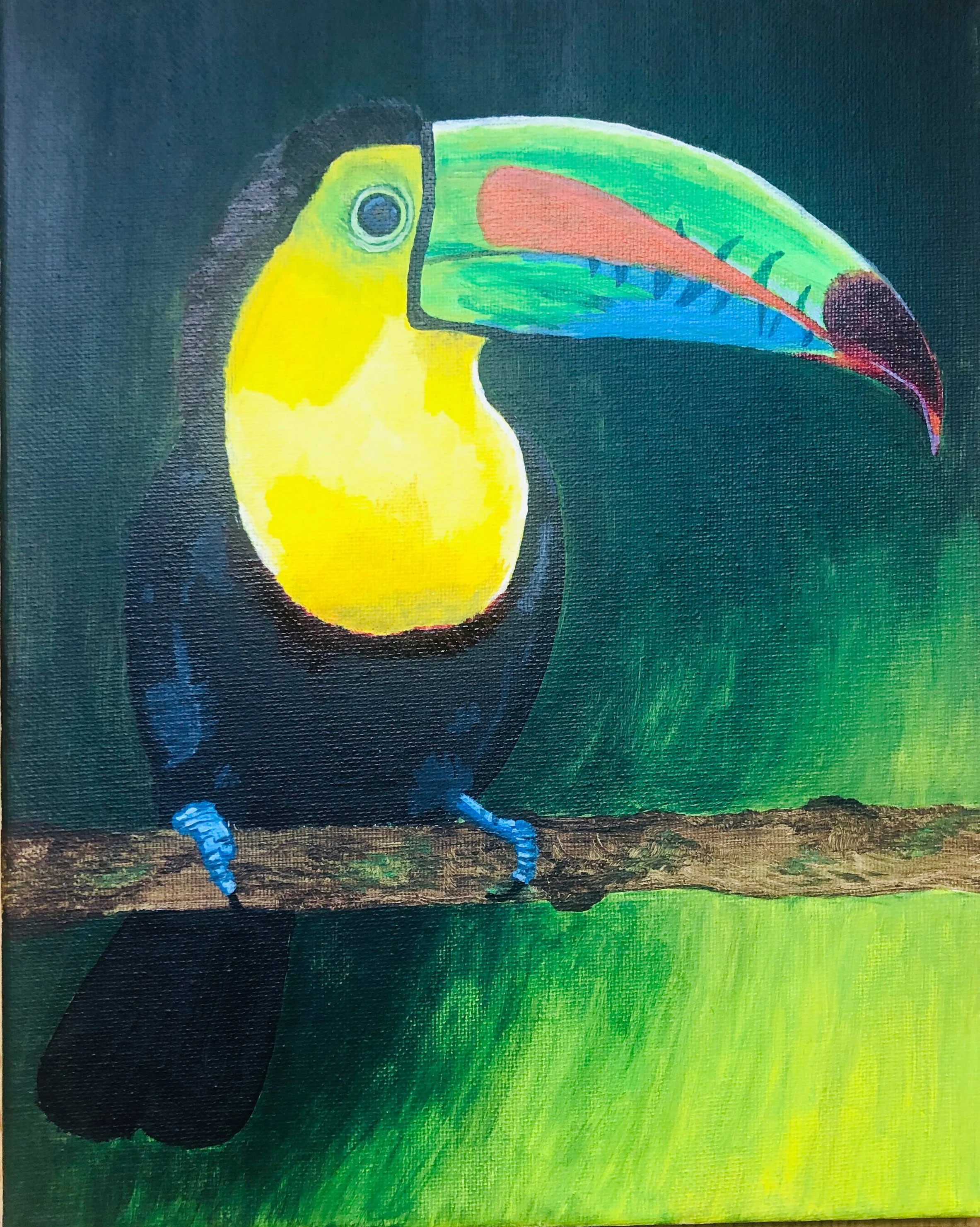 71. Toucan Paint.jpeg