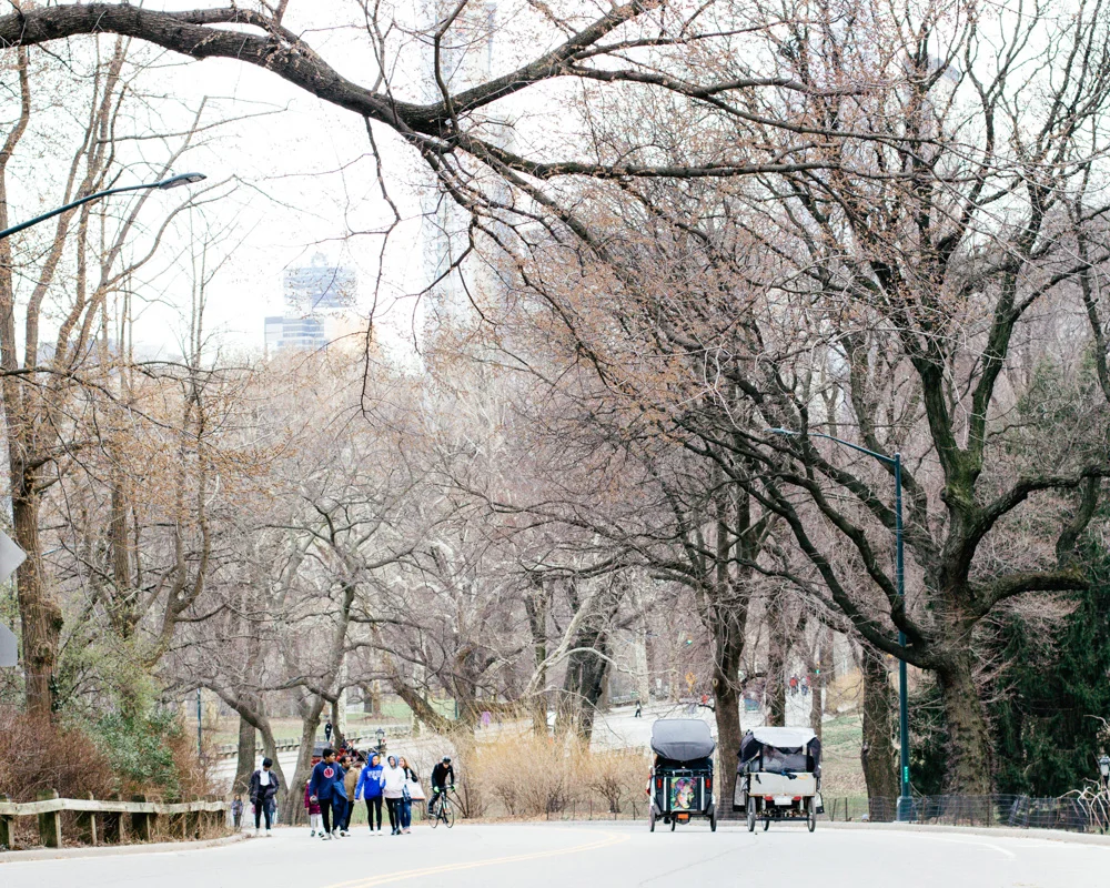 Central Park Blog (2 of 21).jpg