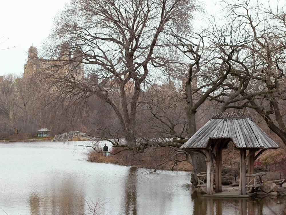 Central Park Blog (6 of 21).jpg