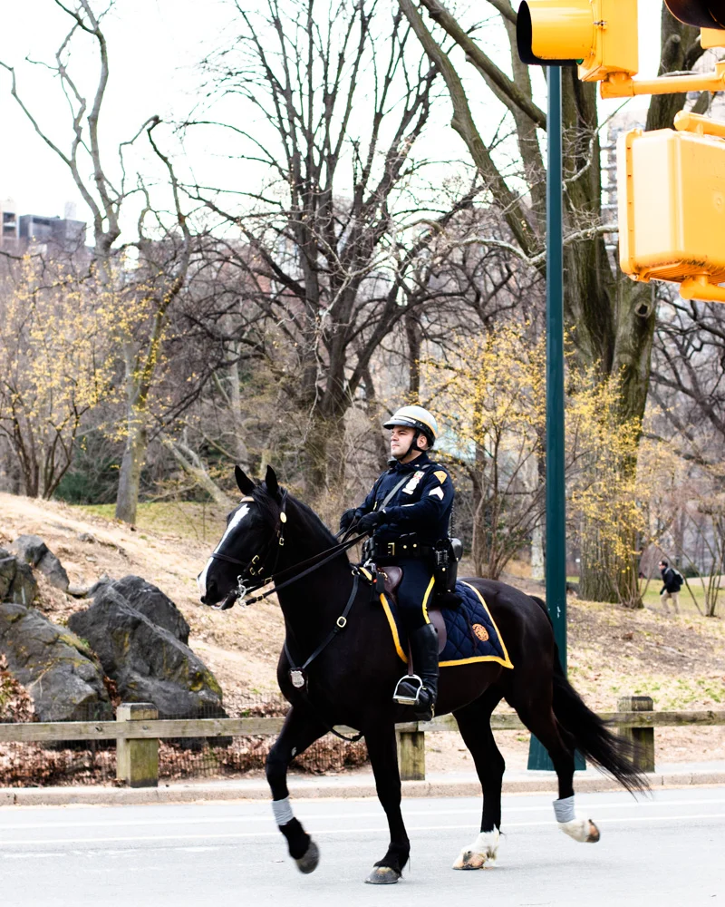 Central Park Blog (7 of 21).jpg