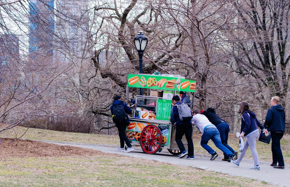 Central Park Blog (10 of 21).jpg
