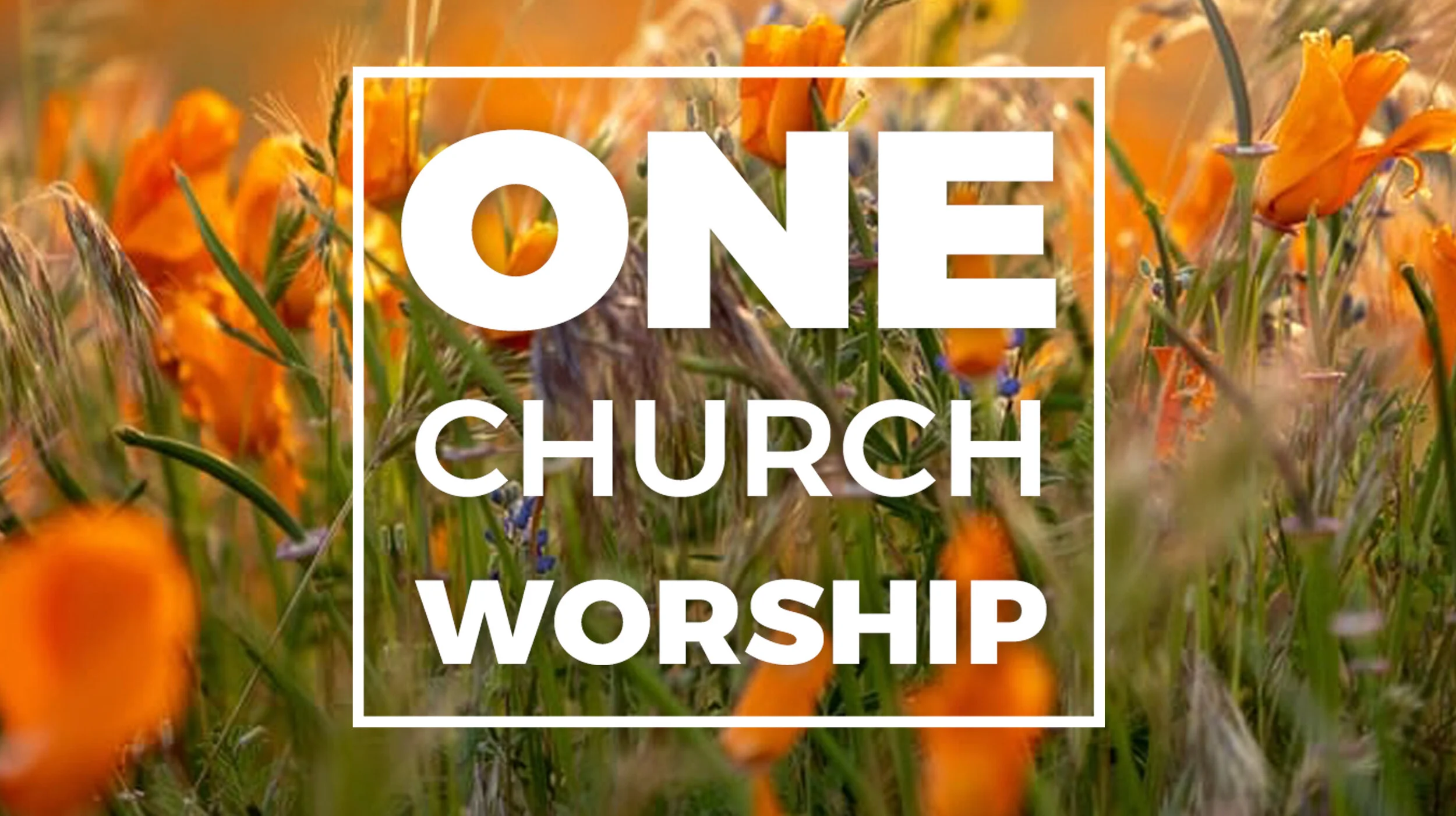 One Church Worship