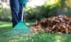 All Church Yard Clean-Up Day