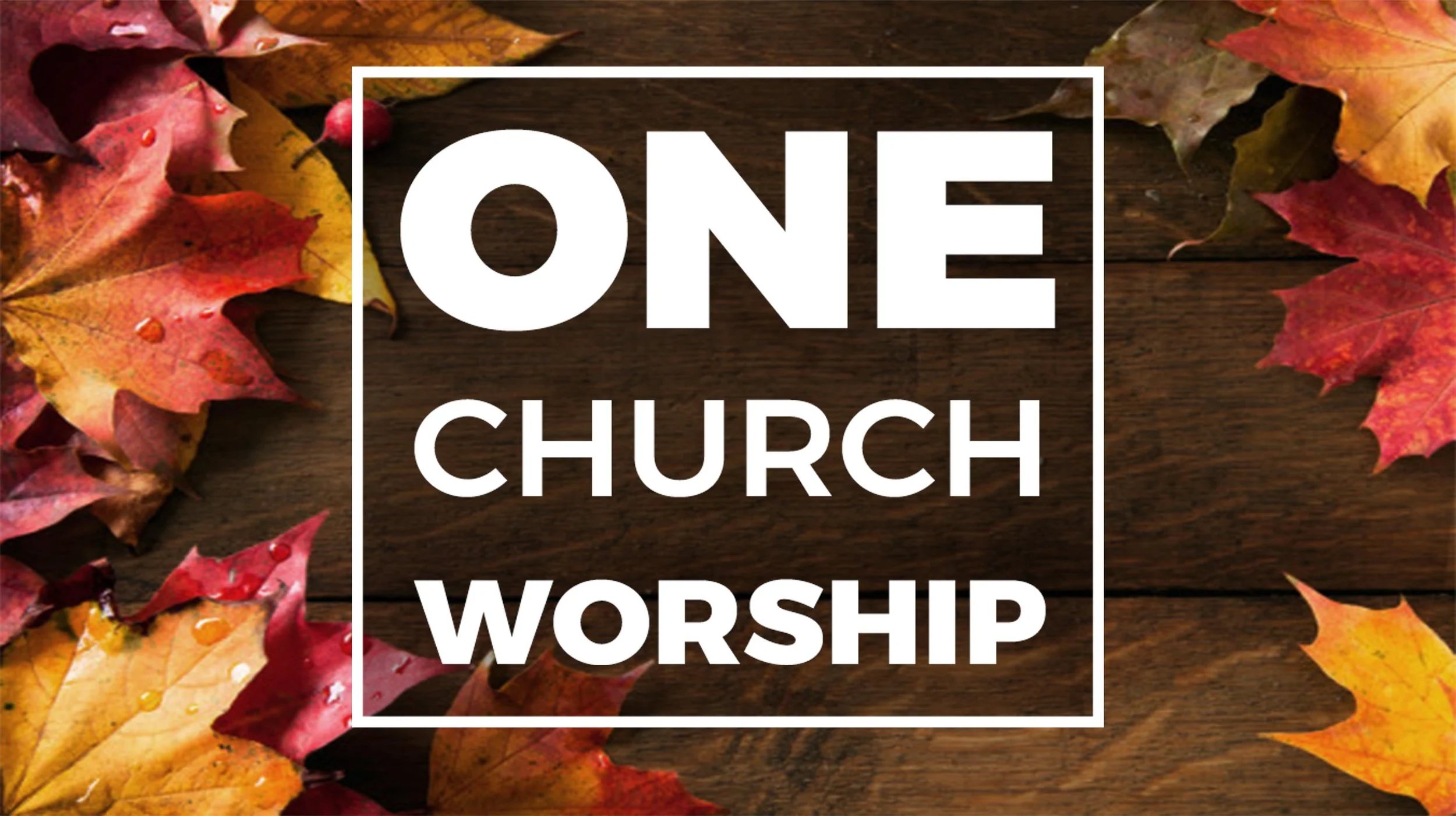 Combined Worship Service &amp; Parish Sunday