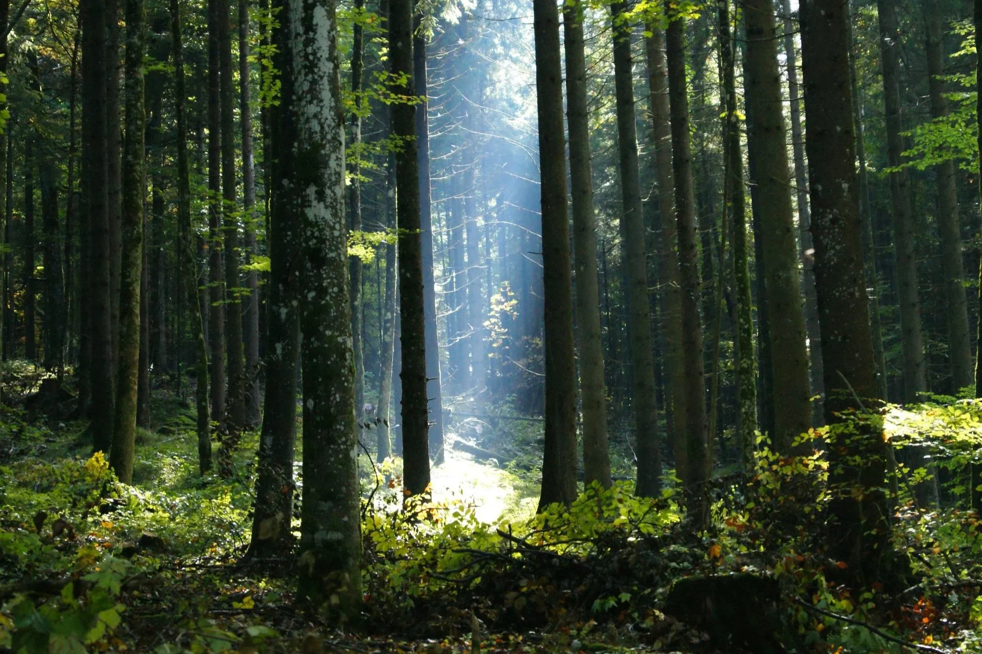 Spiritual Retreat