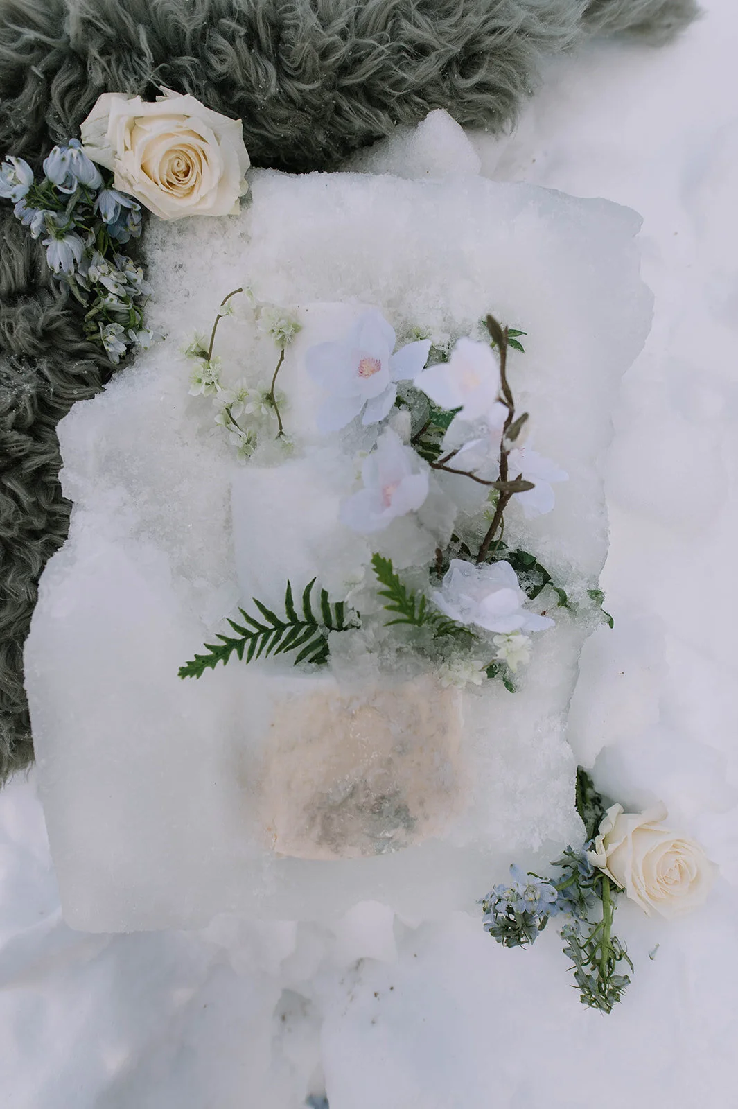 WINTER-26.jpg