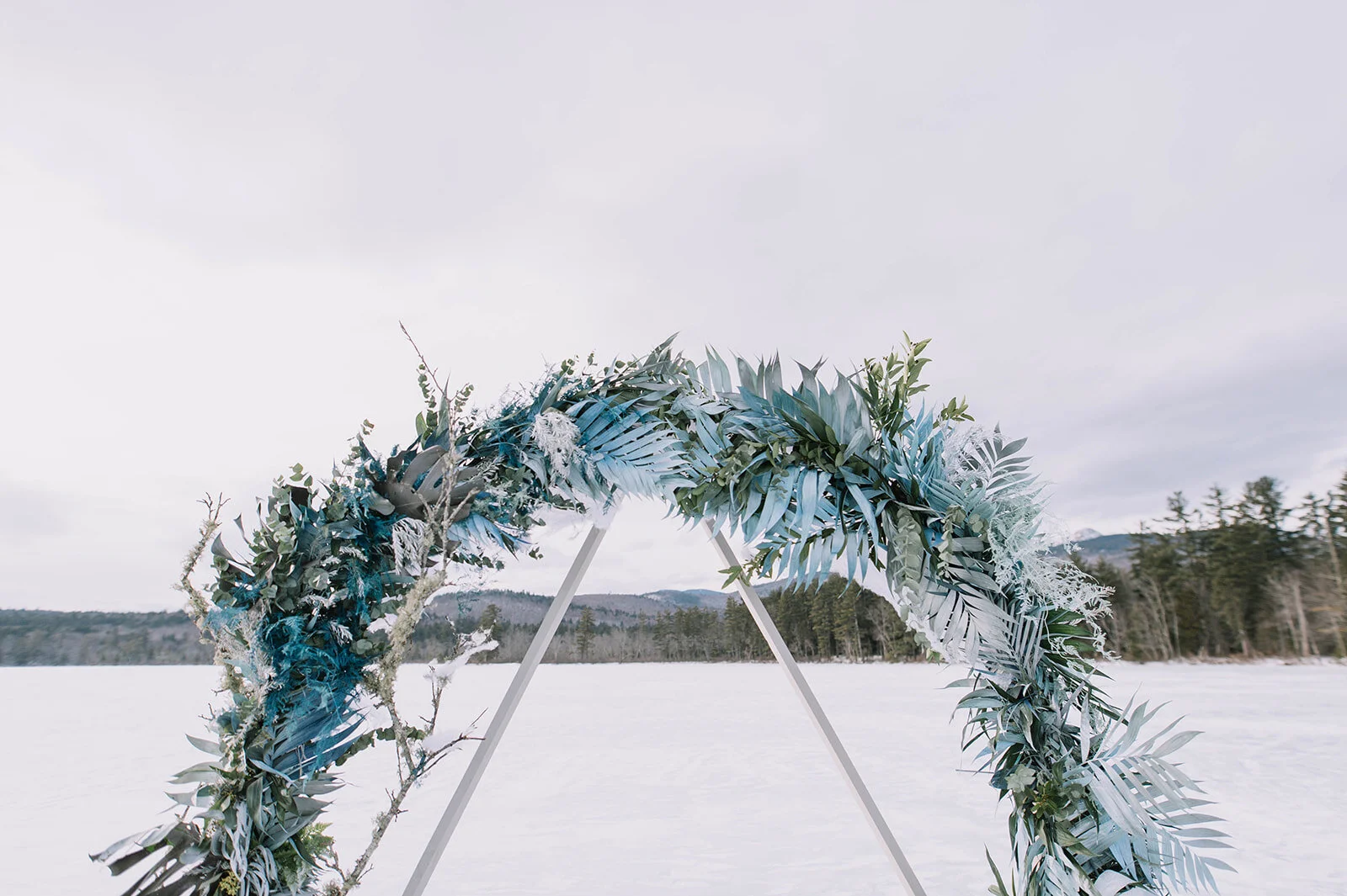 WINTER-200.jpg