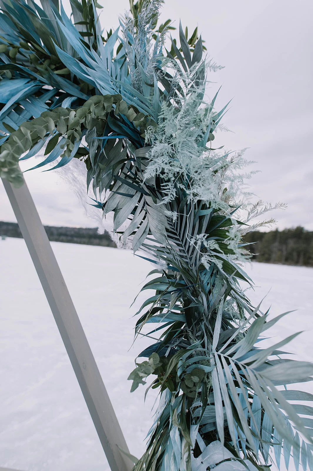 WINTER-213.jpg