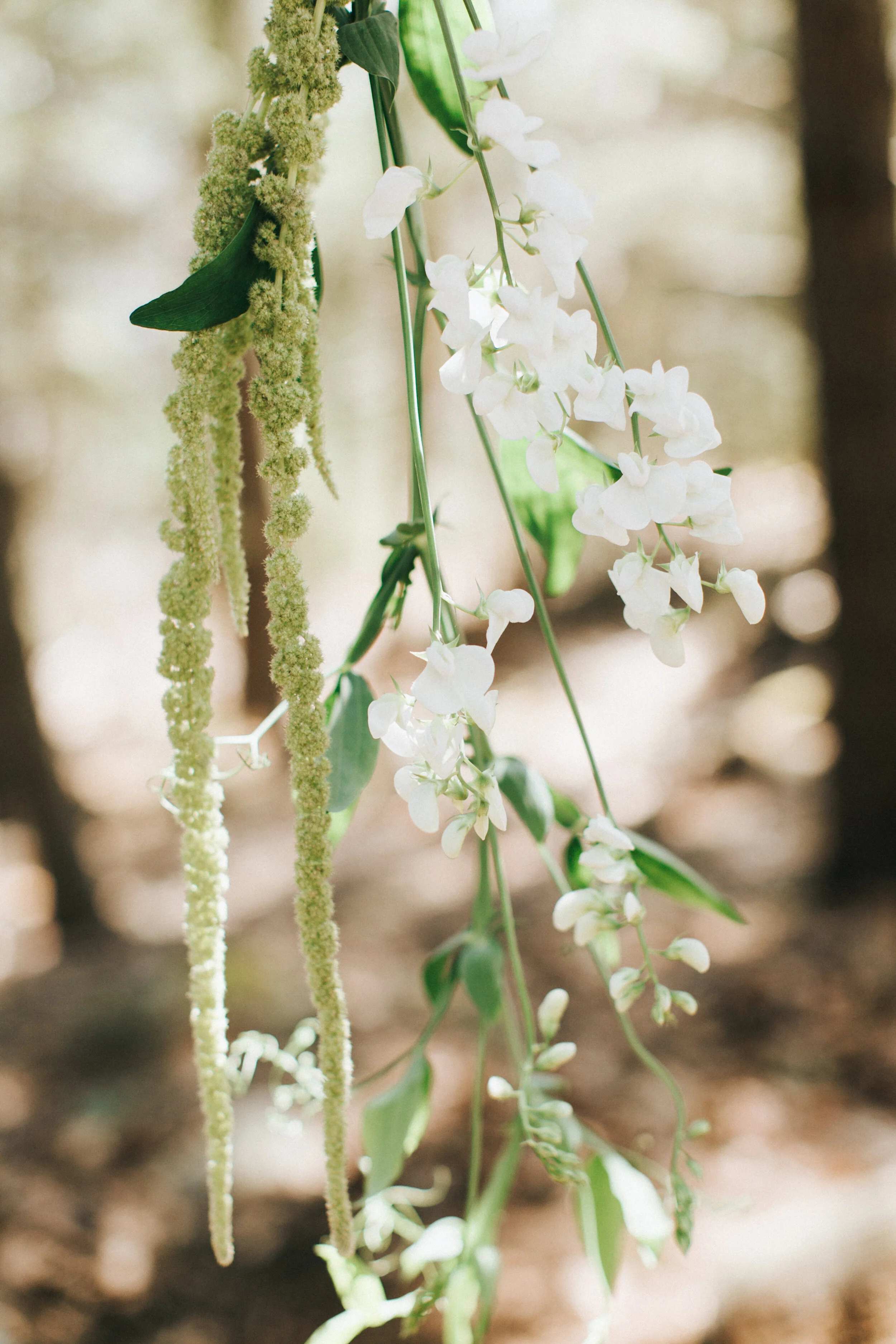 0424EarlySpringShoot-0034.jpg