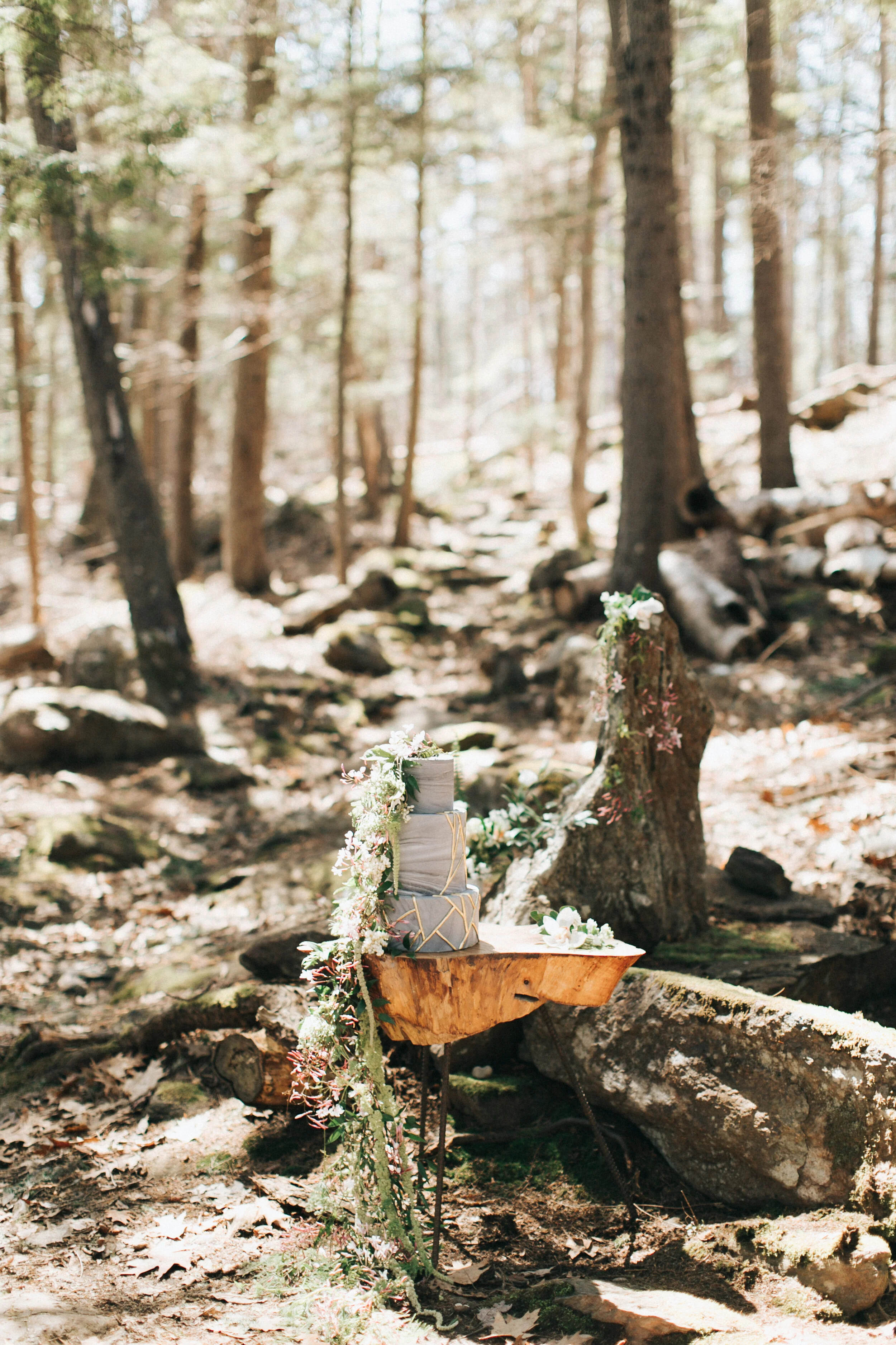 0424EarlySpringShoot-0072.jpg