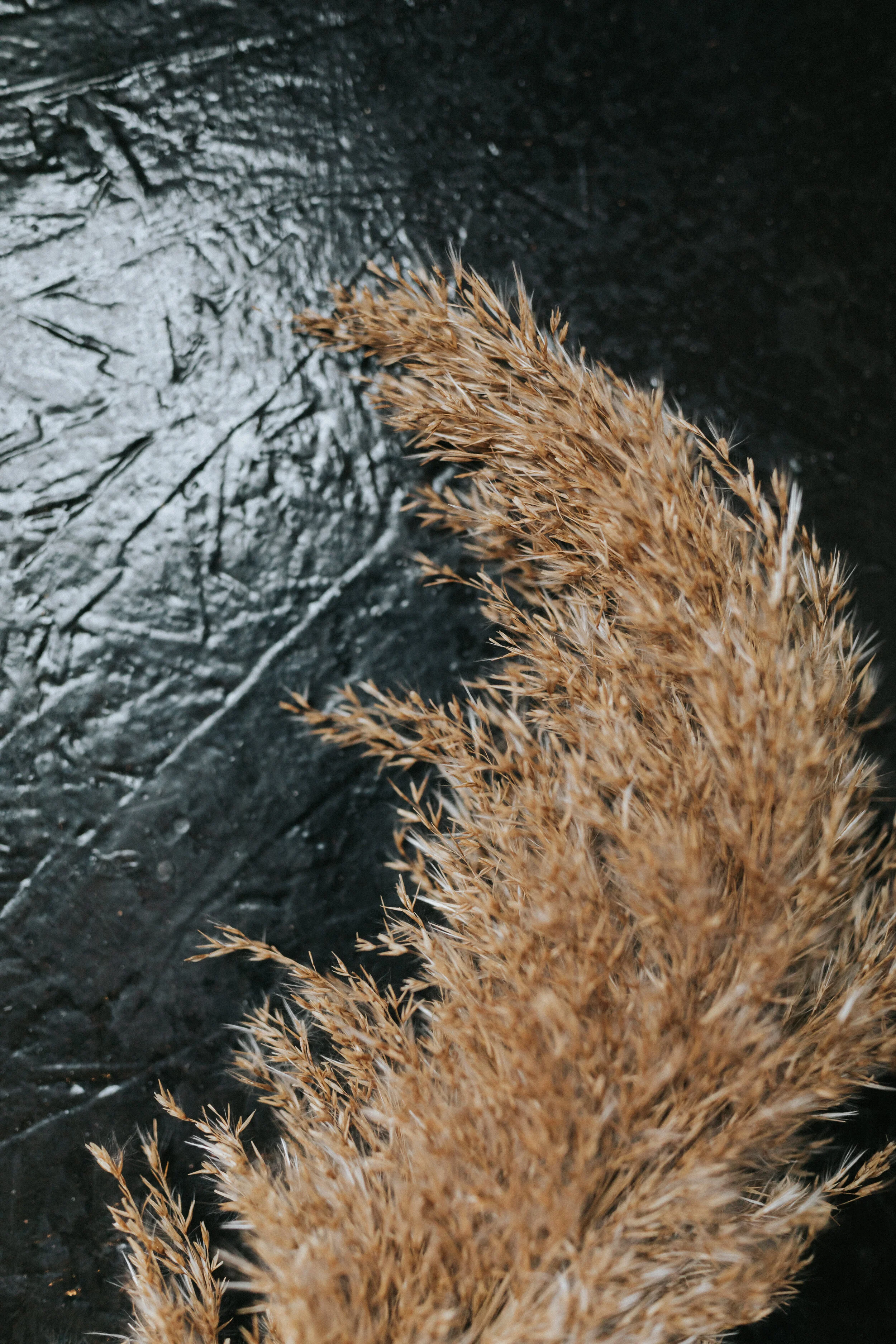 Warehouse_XI_Shoot-019.jpg