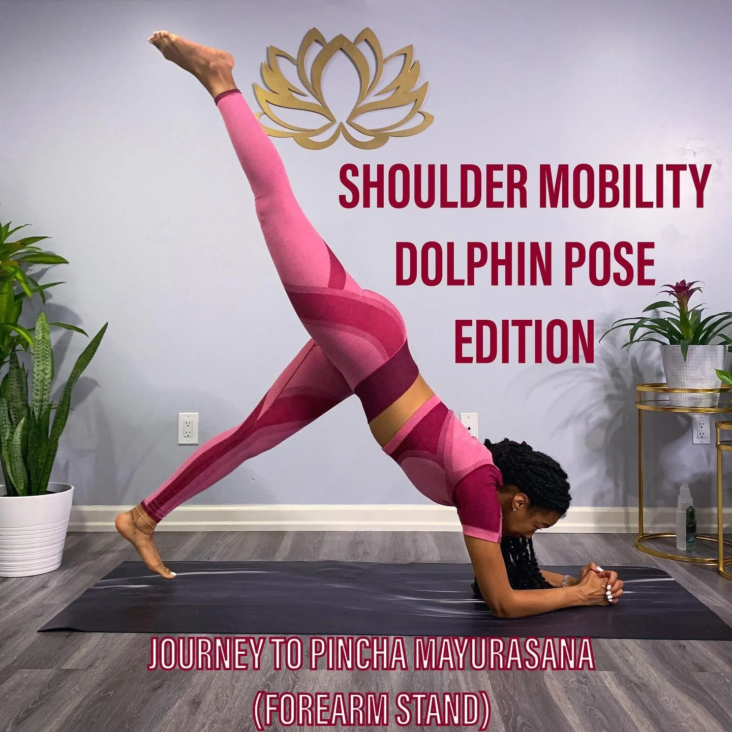 I&rsquo;m on a Journey to Pincha Mayurasana (Forearm Stand). I may not know how to hold myself up in Pincha (yet), but I know the asana requires strength and mobility in the shoulders and strength in the core.
.
SWIPE &gt;&gt;&gt;
for some strength a