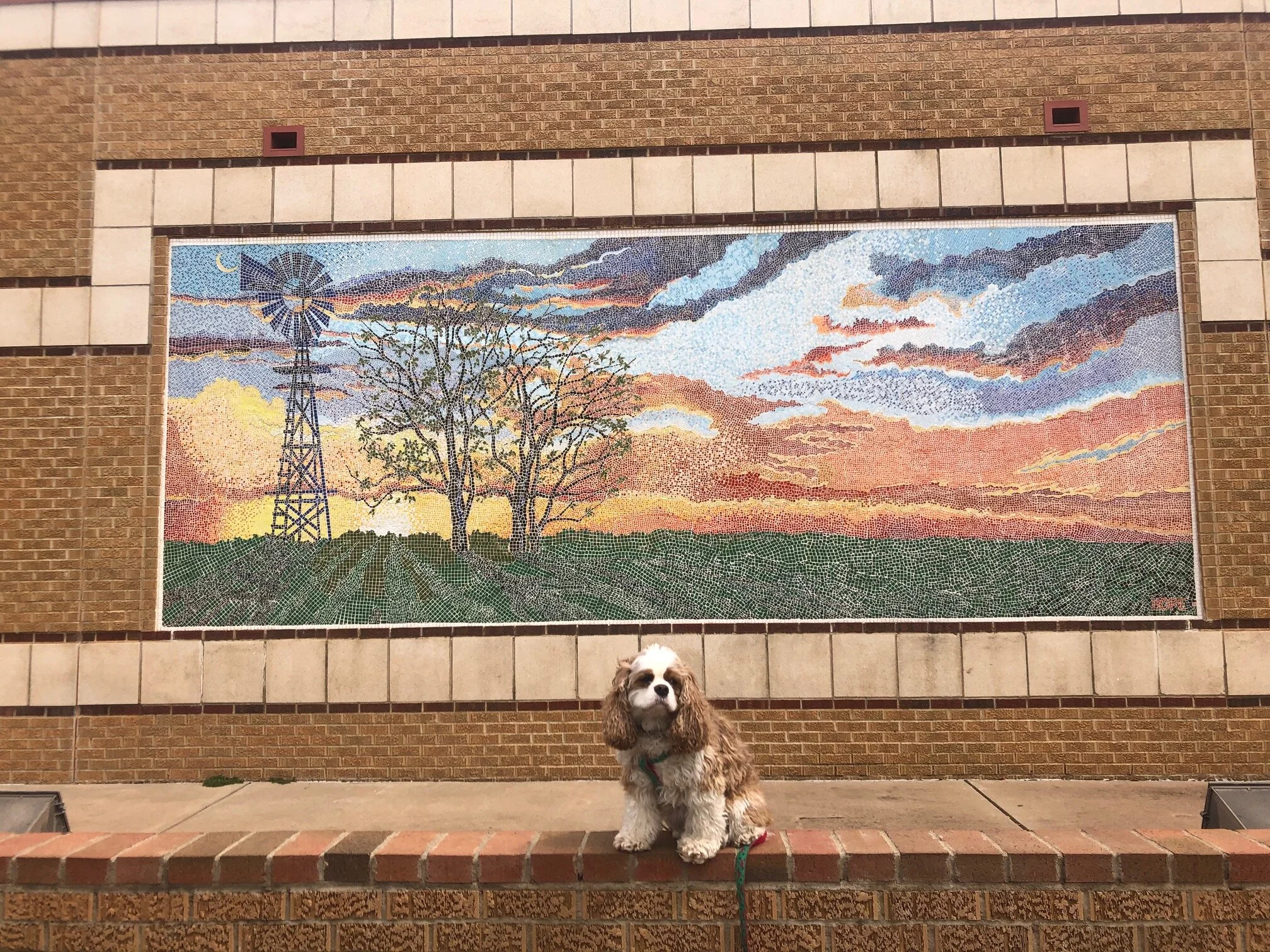 Art Adventures with Aby