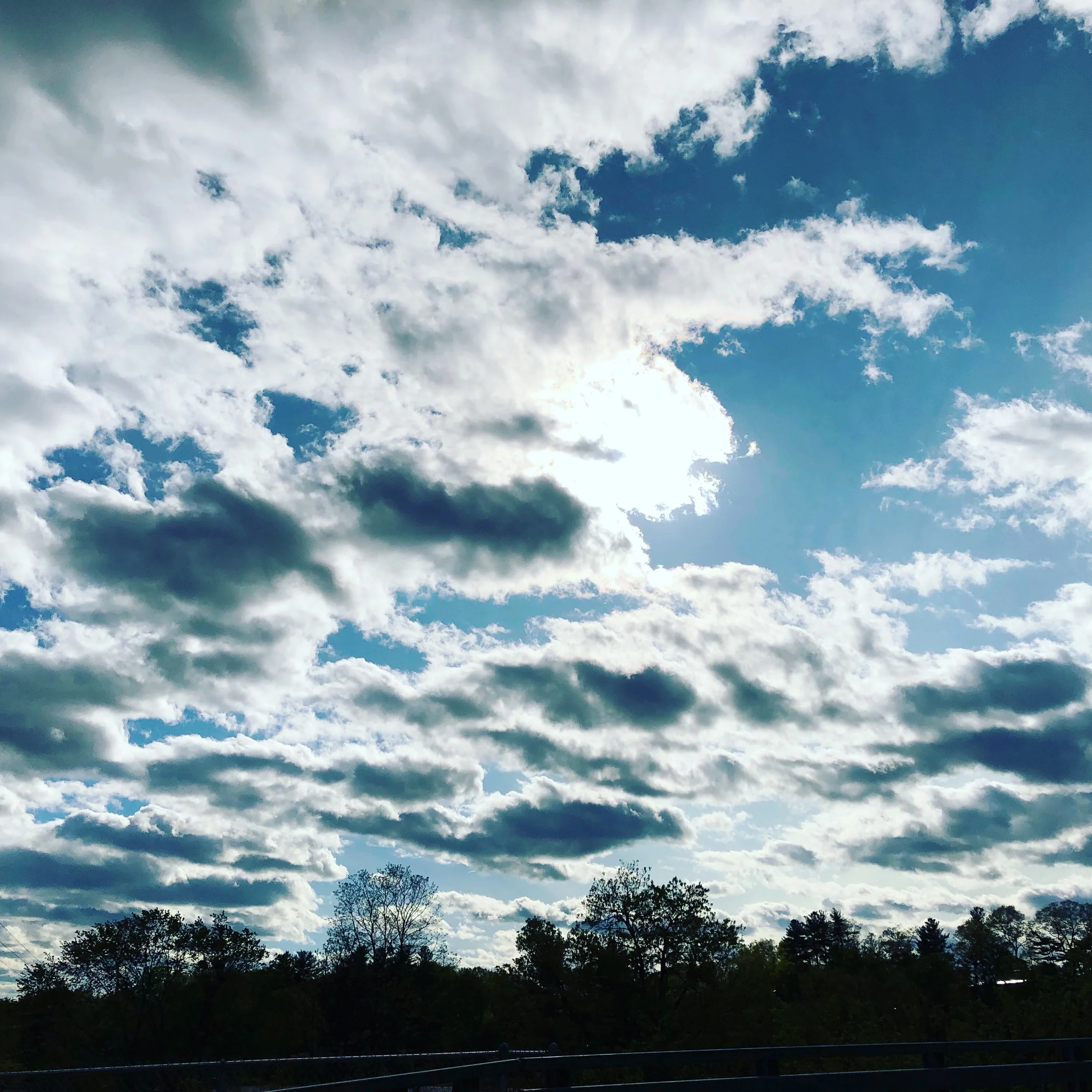 0B5AACE1-FCAB-4A8E-BF85-D0BC83FE2C12.jpeg