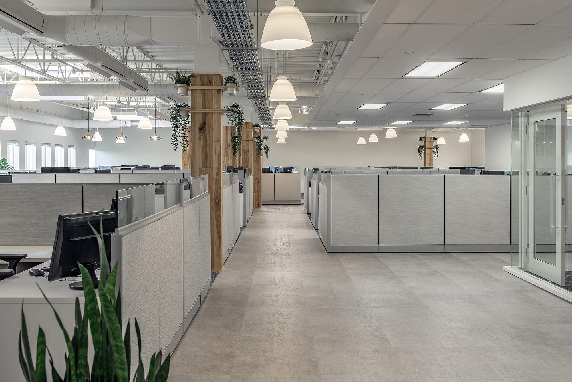 halifax-interior-design-financial-office-workspace-plants.jpg