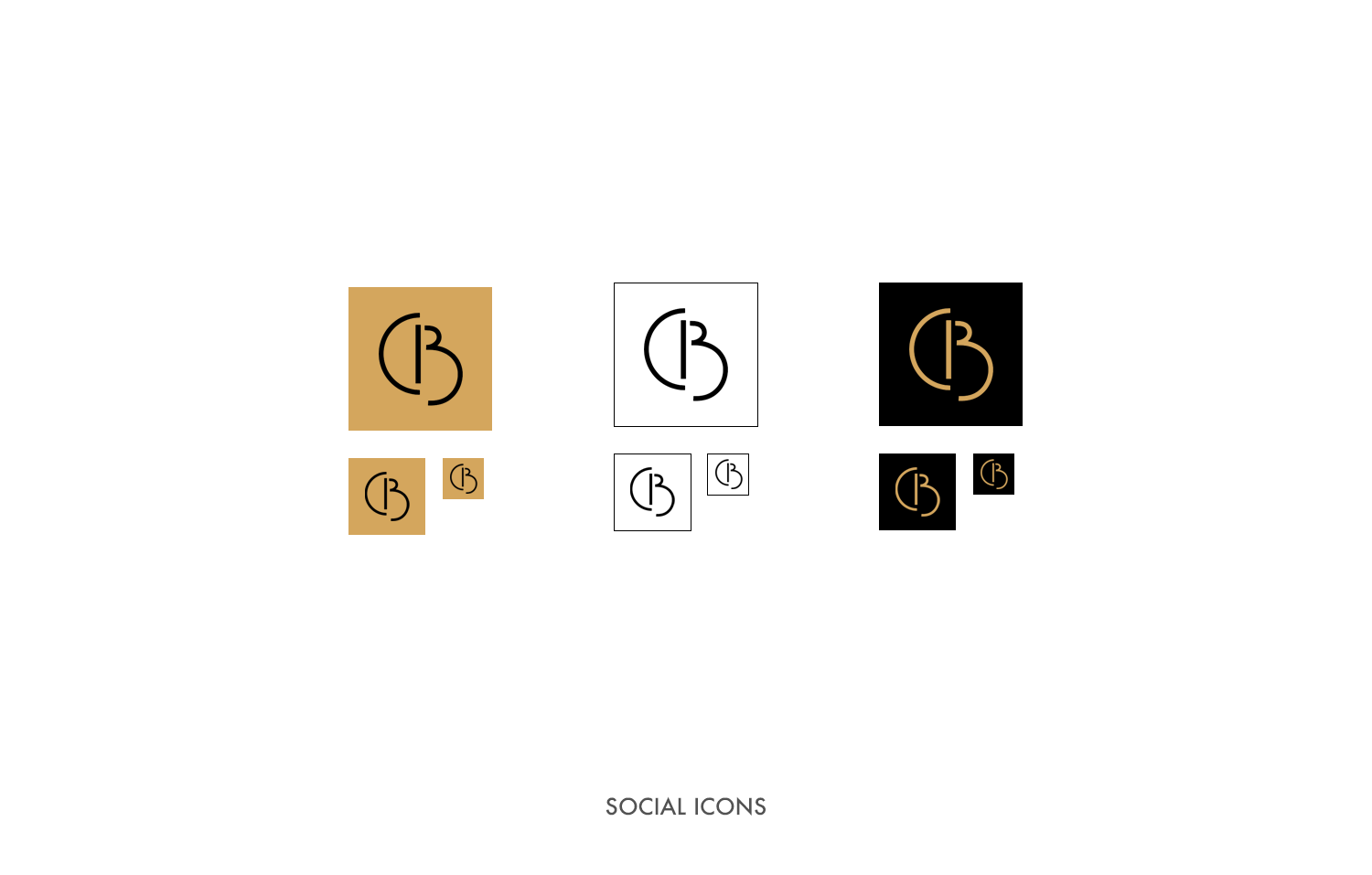 CheIvyBeautyLogo_SOCIAL_ICONS.png