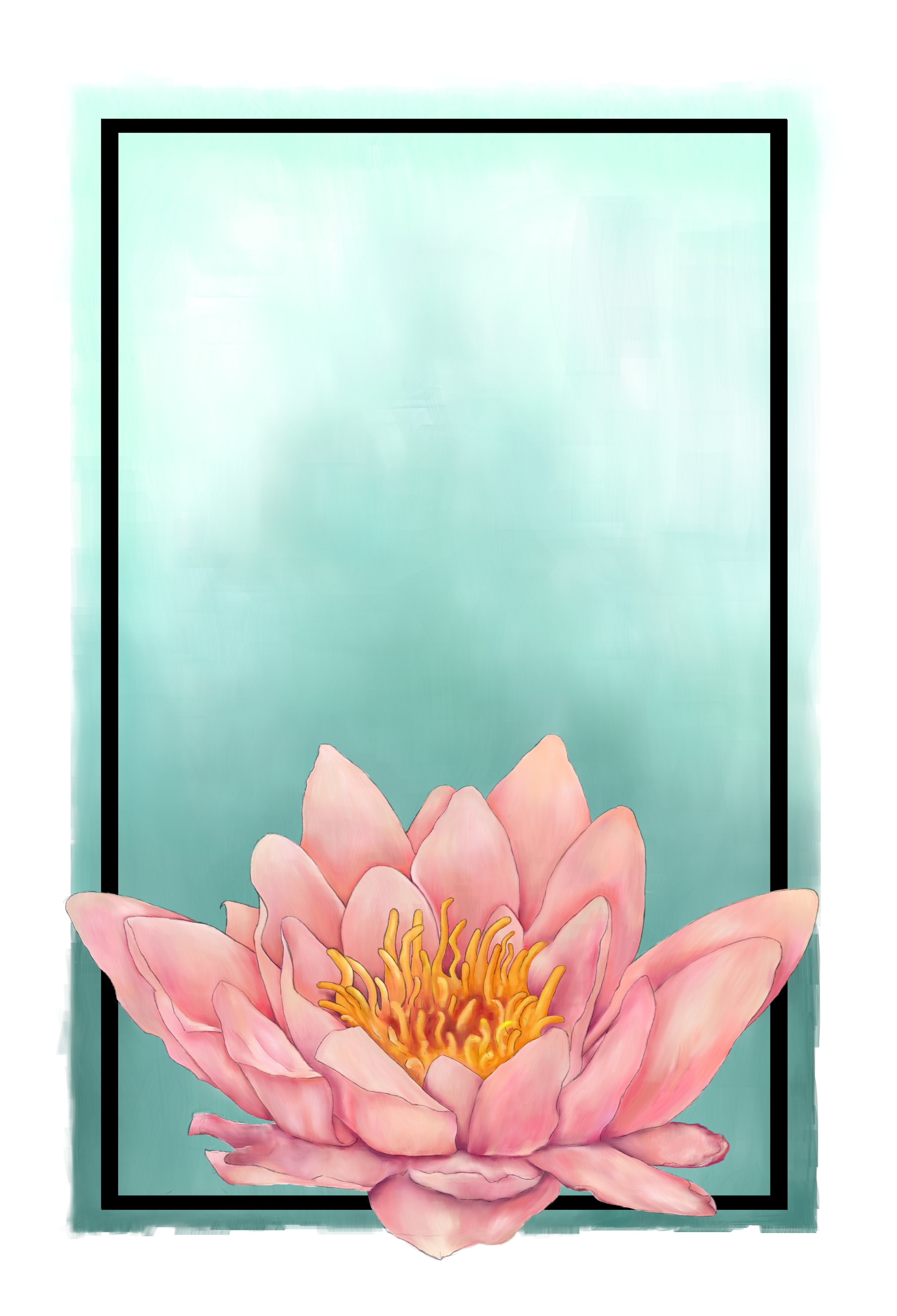 Waterlily 