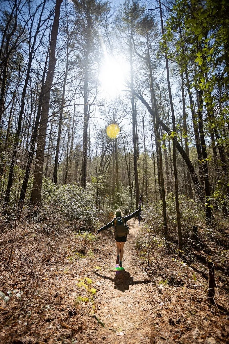 The Foothills Trail, Winter Hike (February, 2020)