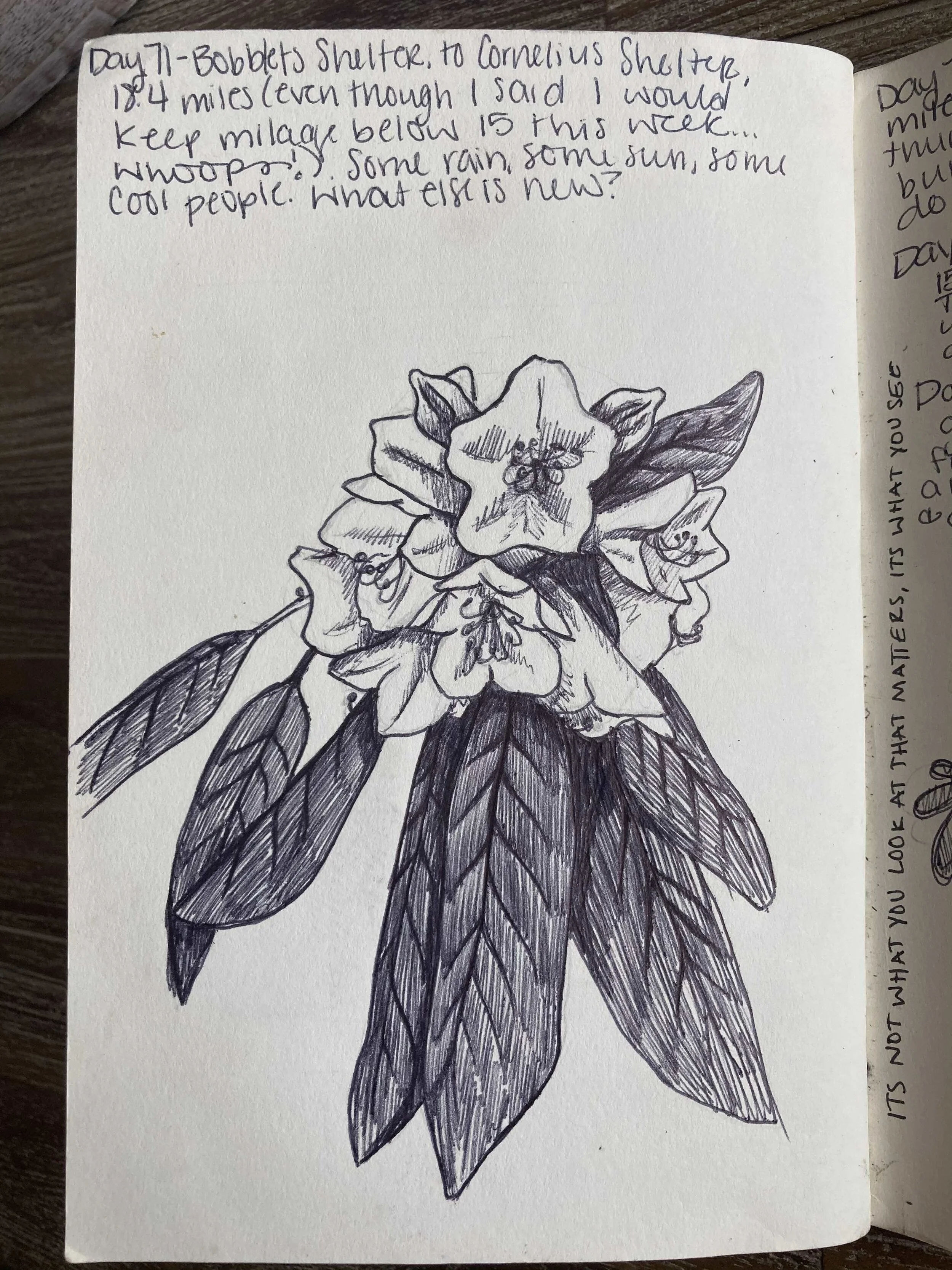 Day71.jpg