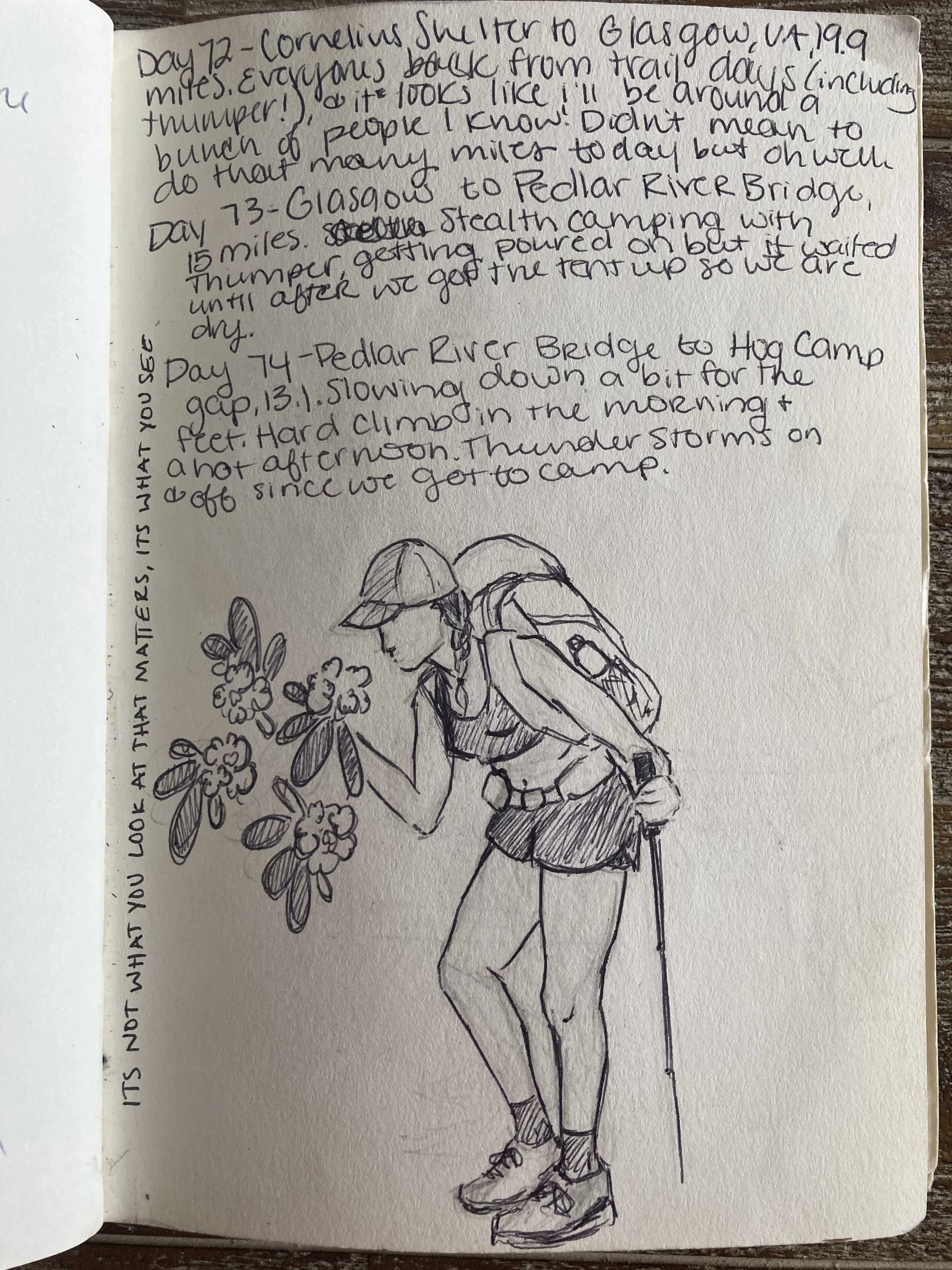 Day72-74.jpg