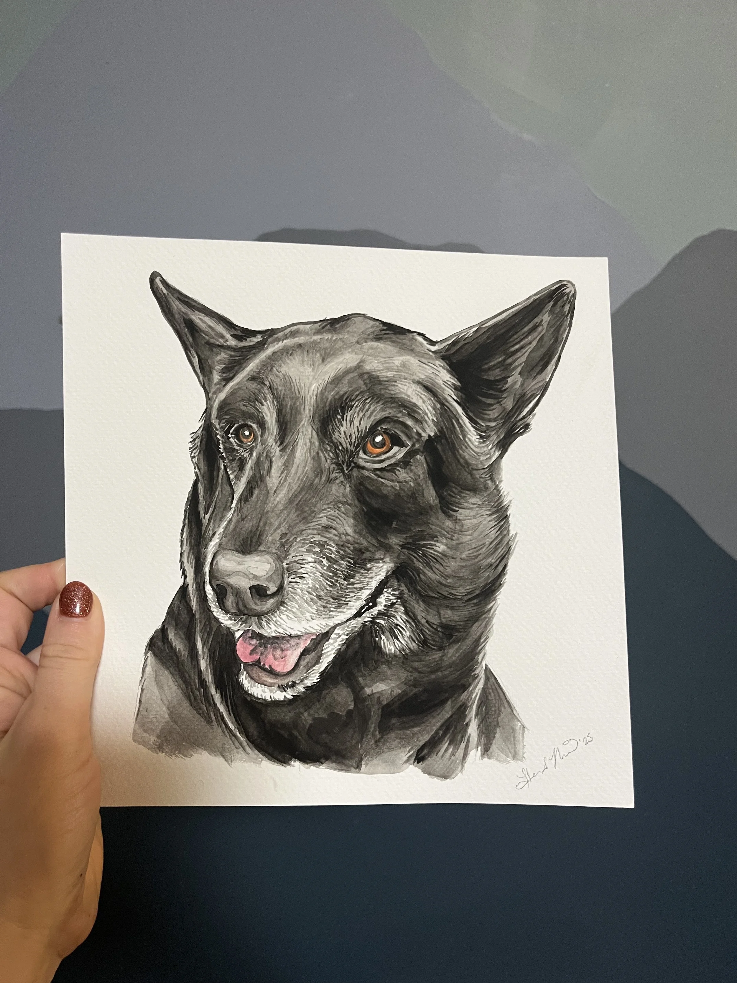 dog1.jpg