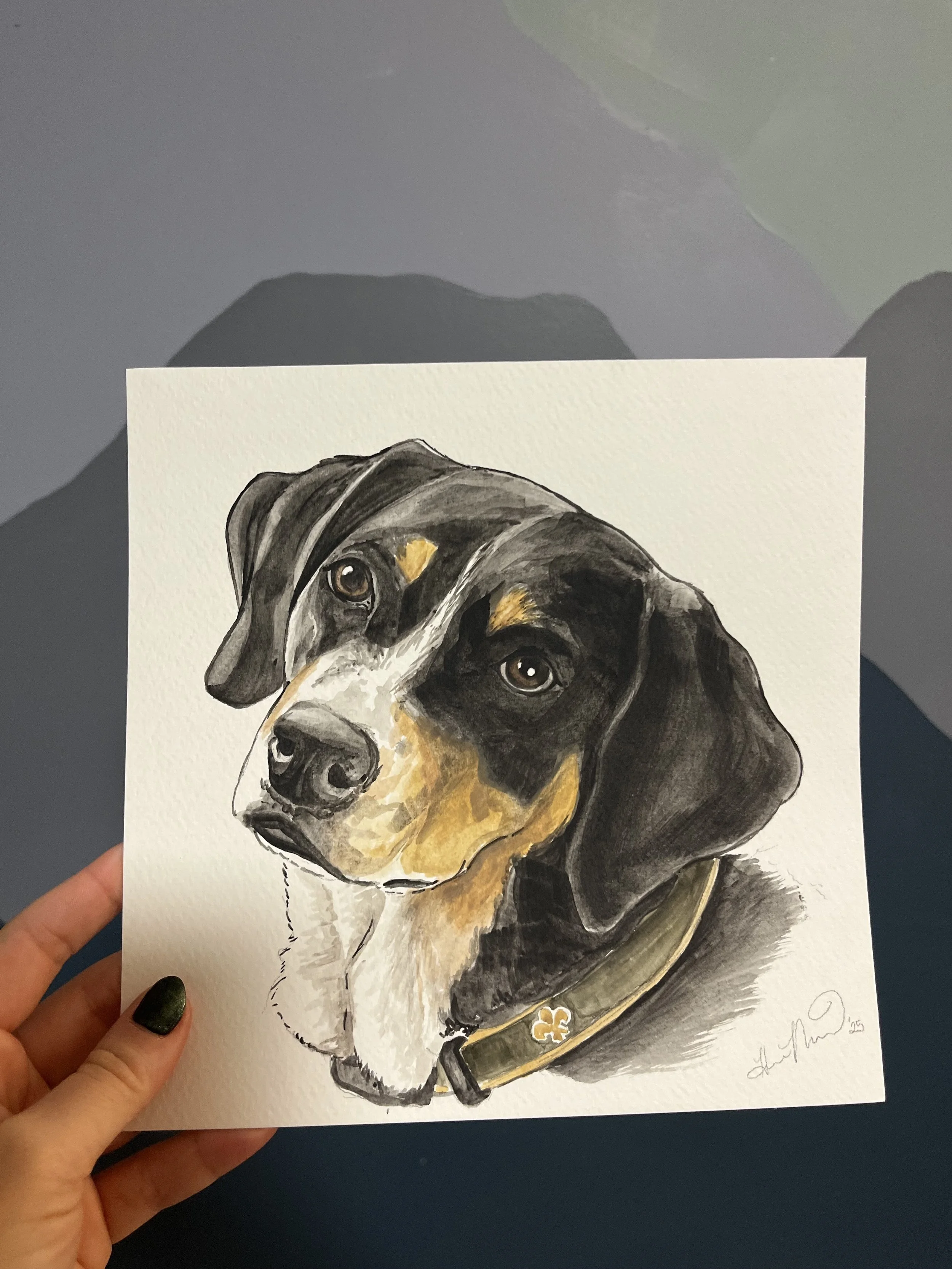 dog5.jpg