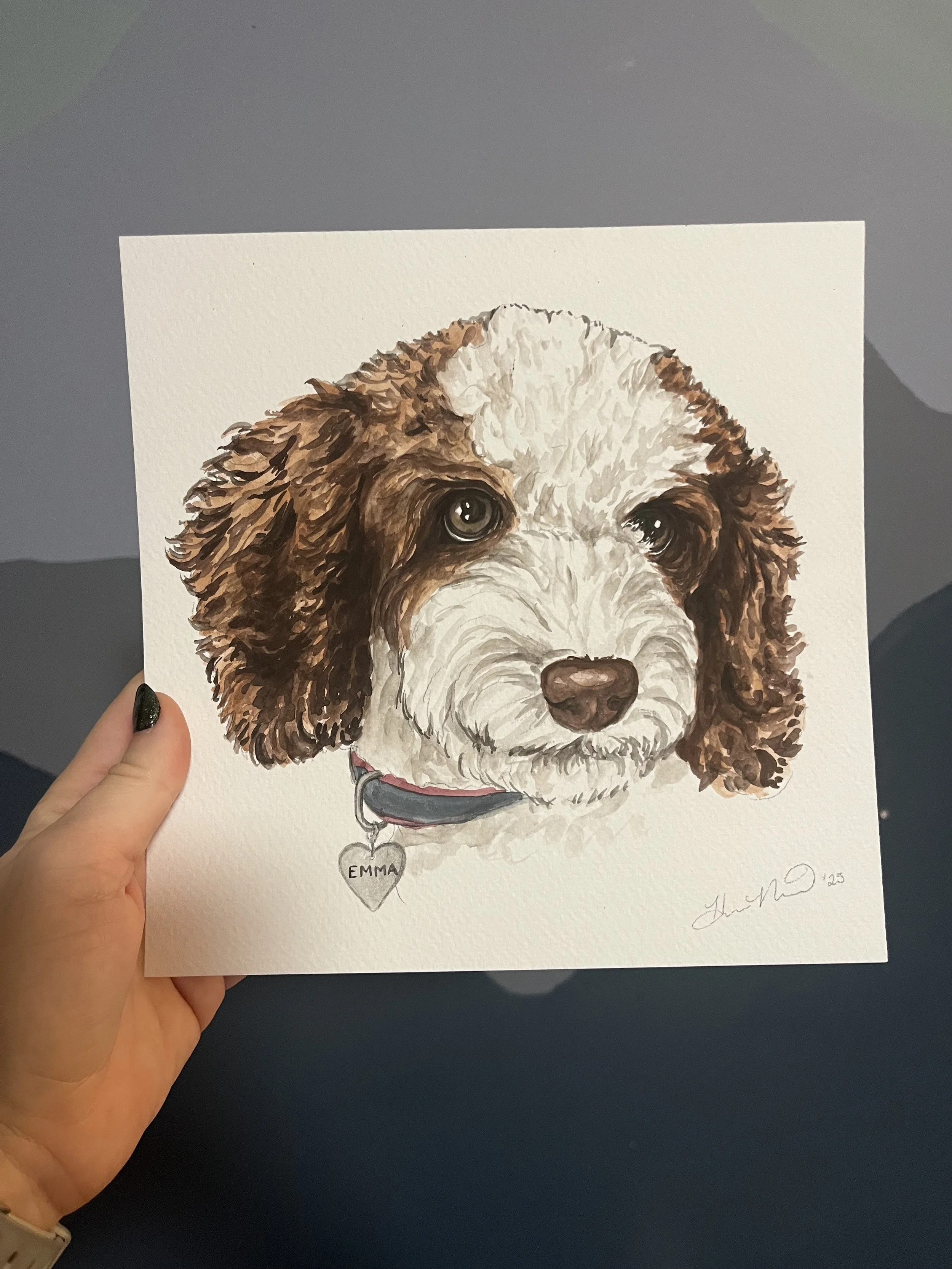 dog7.jpg