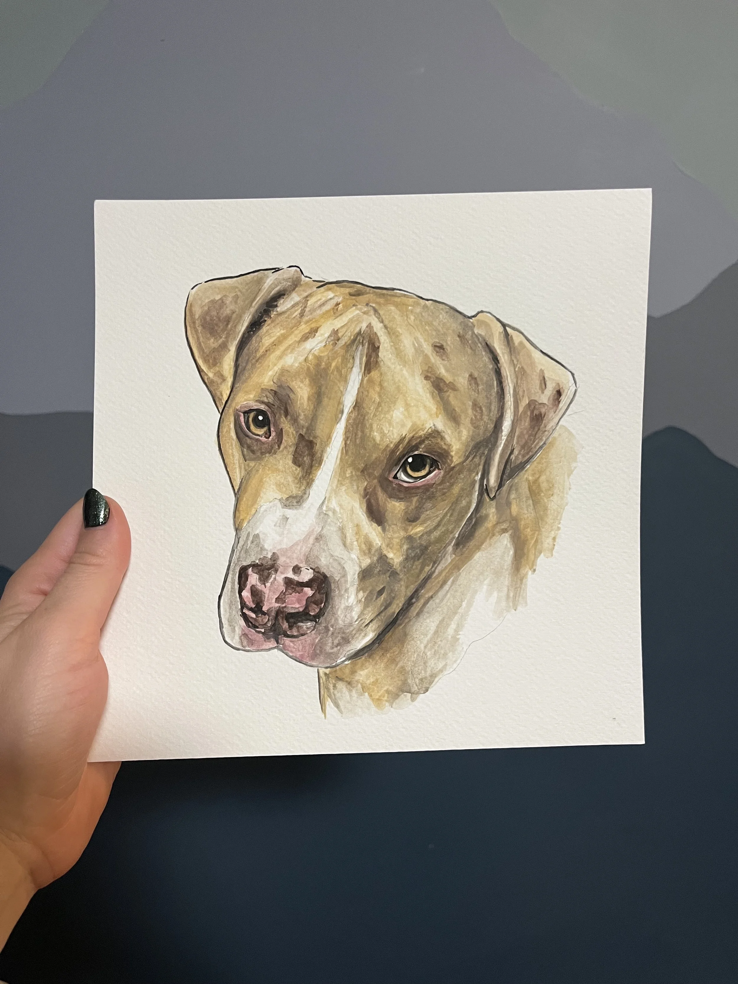 dog 6.jpg
