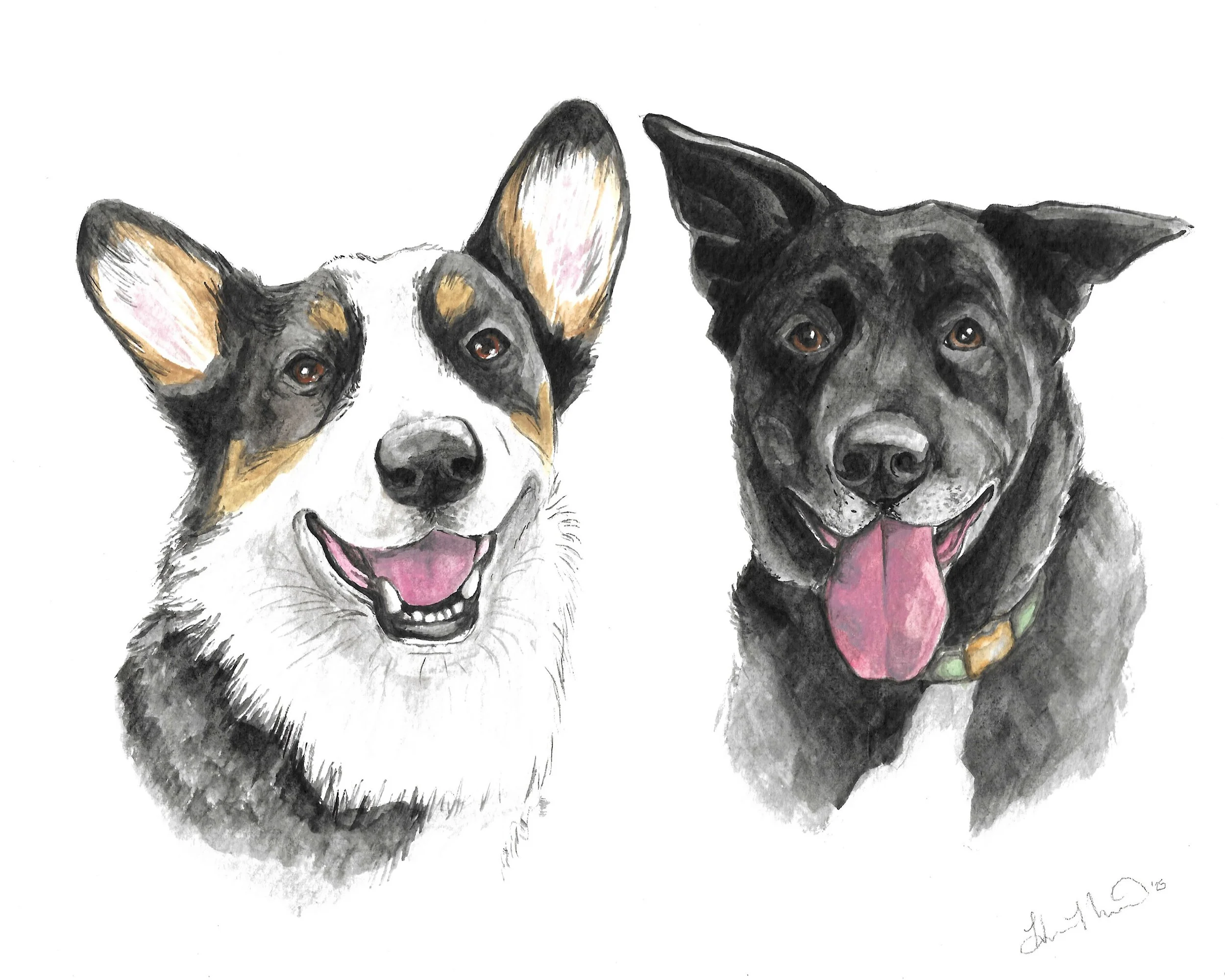CorgiandBlackDog.jpeg