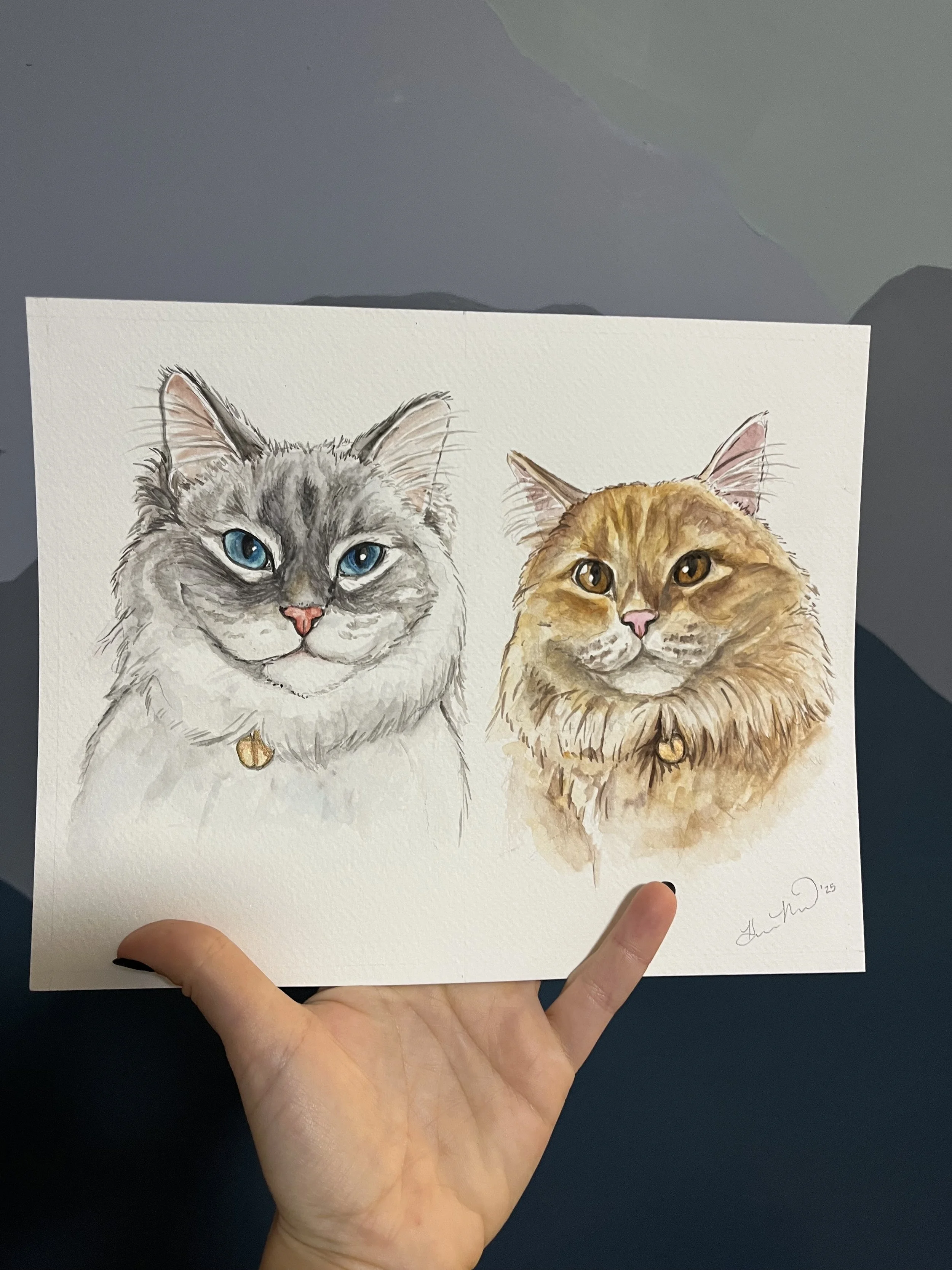 2cats.jpg