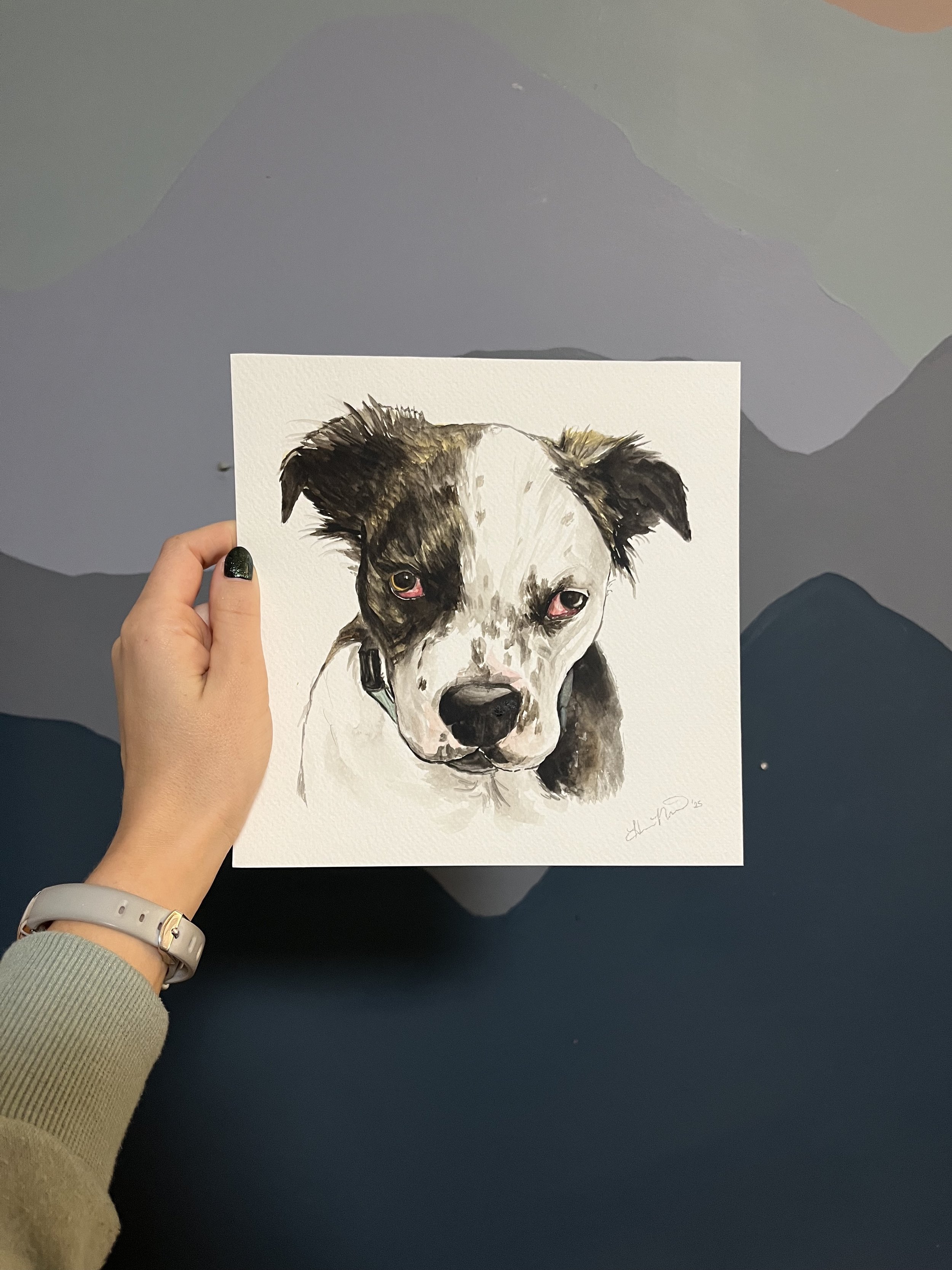dog6.jpg