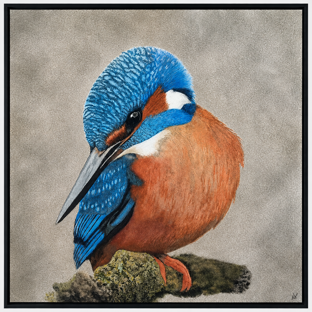 Kingfisher (2).png
