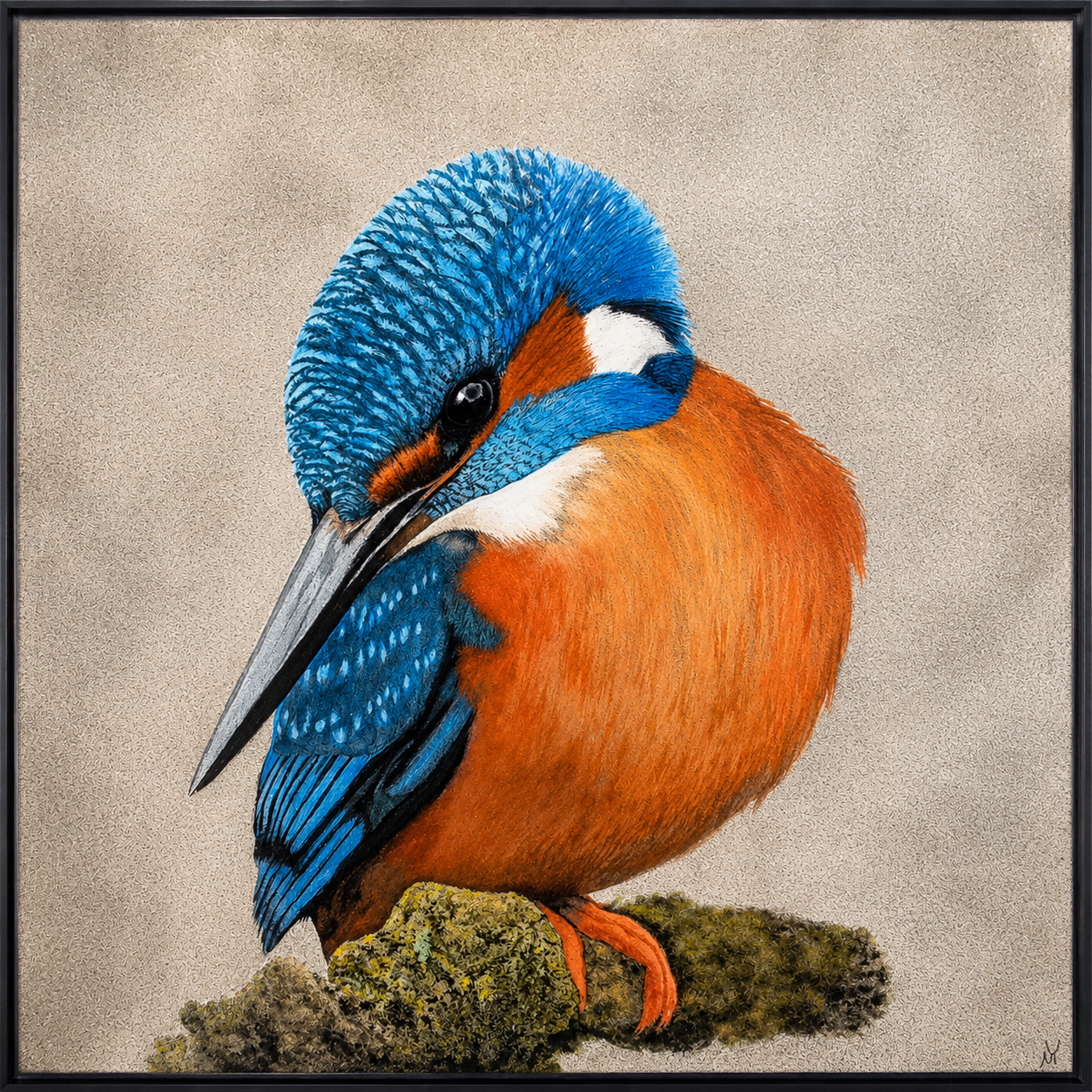 Kingfisher (1).png