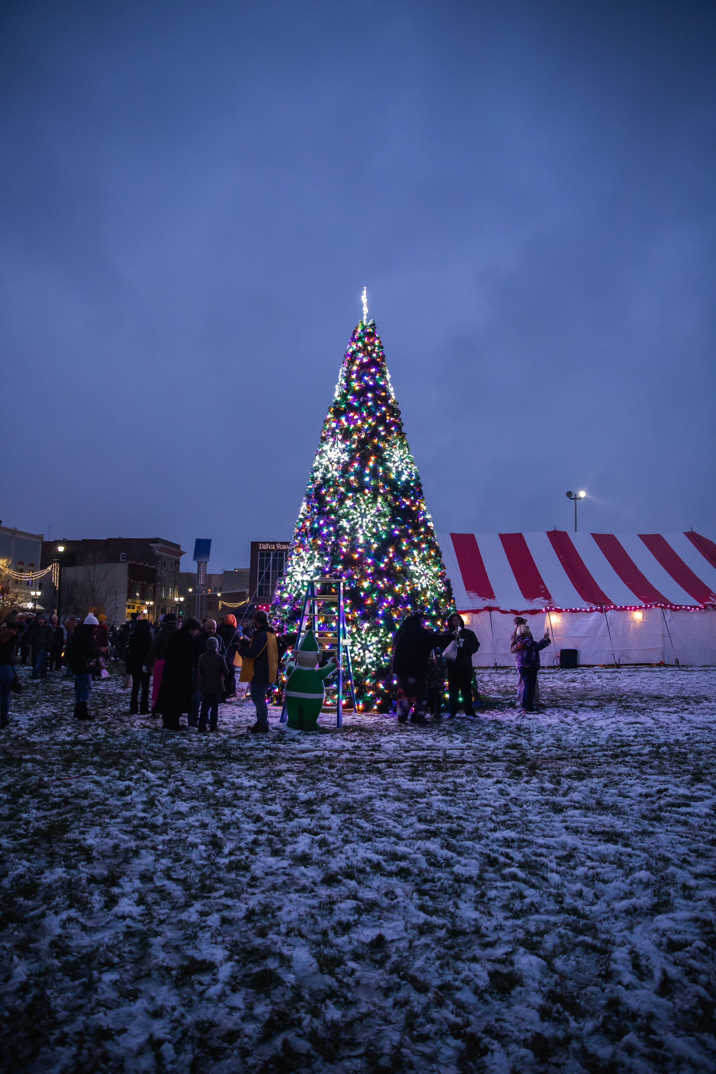 DWNTWN_Christmas Tree Shoot-69.jpg