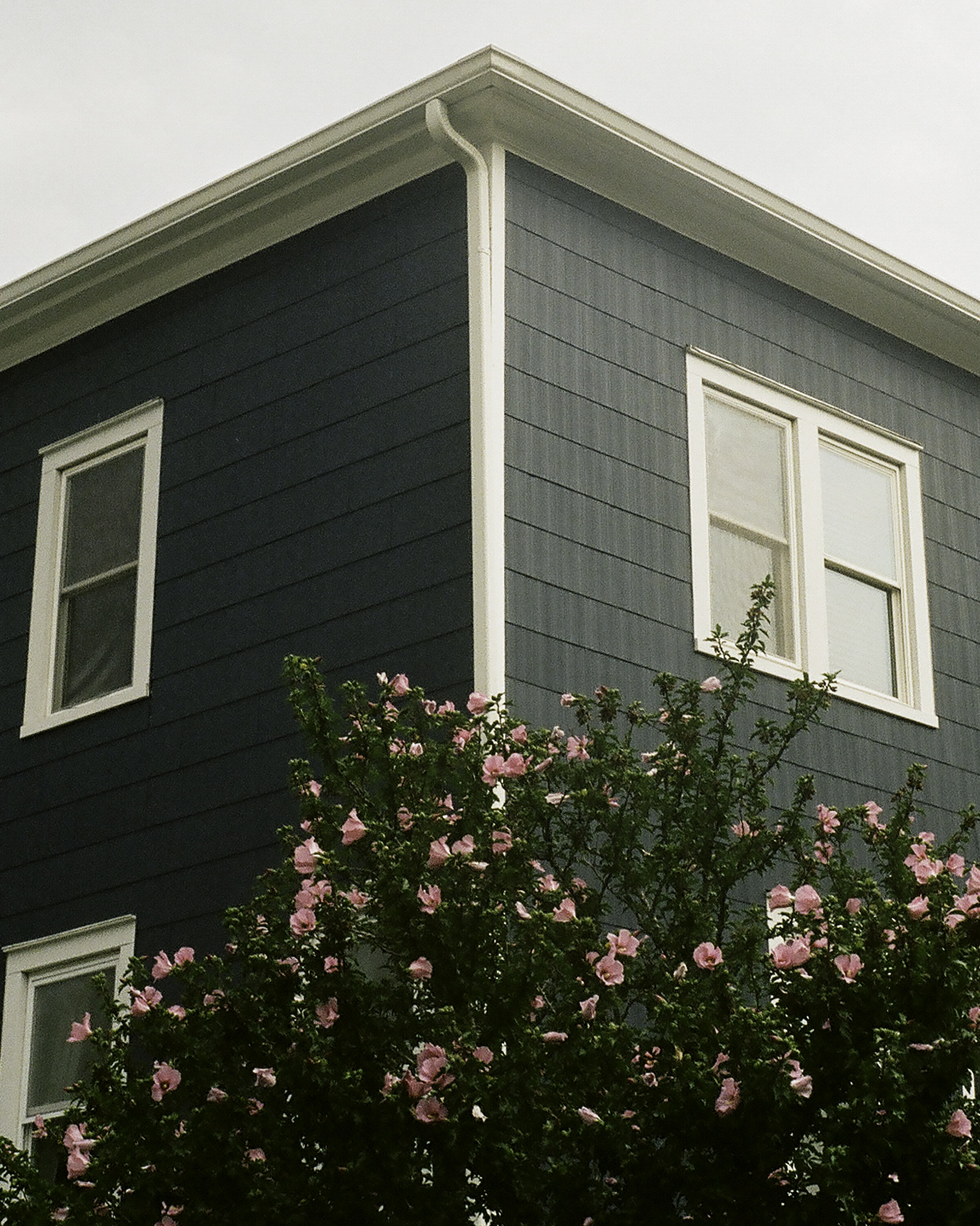 A Wednesday / Northport, NY