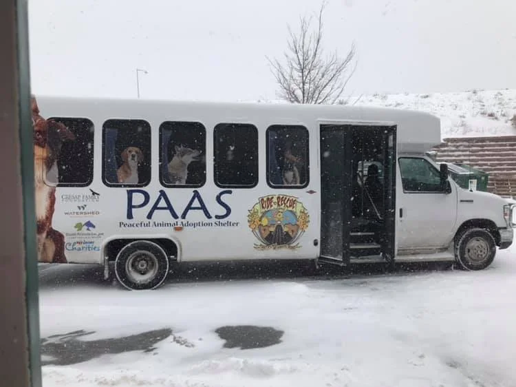 BigVan.jpg