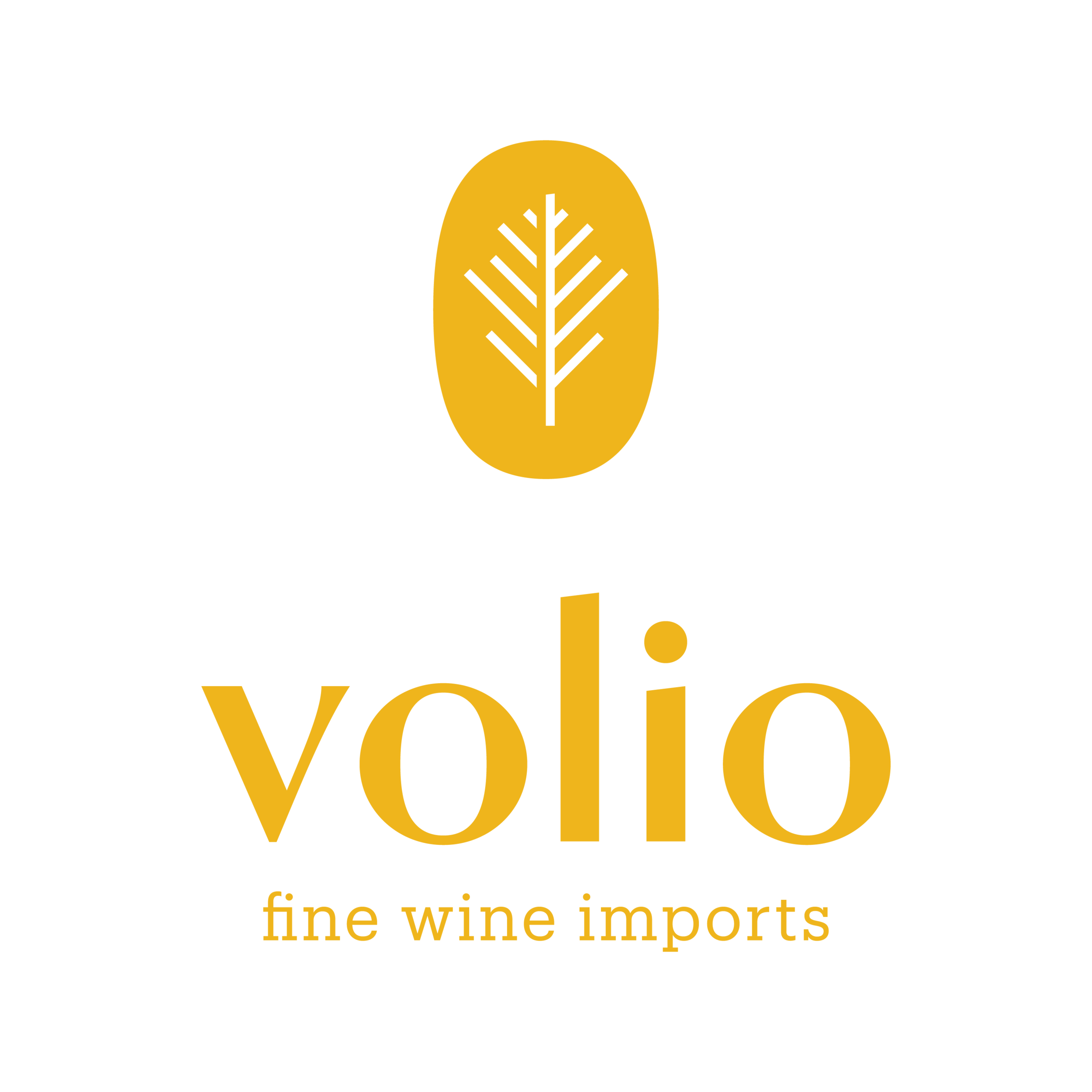 Volio_CenterLockup-Tagline_yellow.png